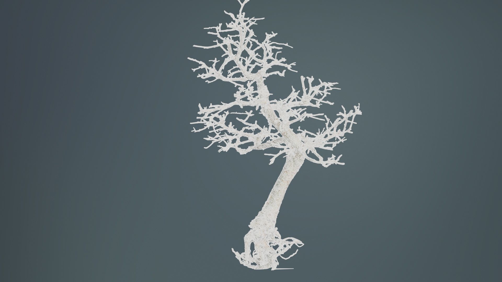Dead Bonsai Tree 9 Low-poly 3D model_10