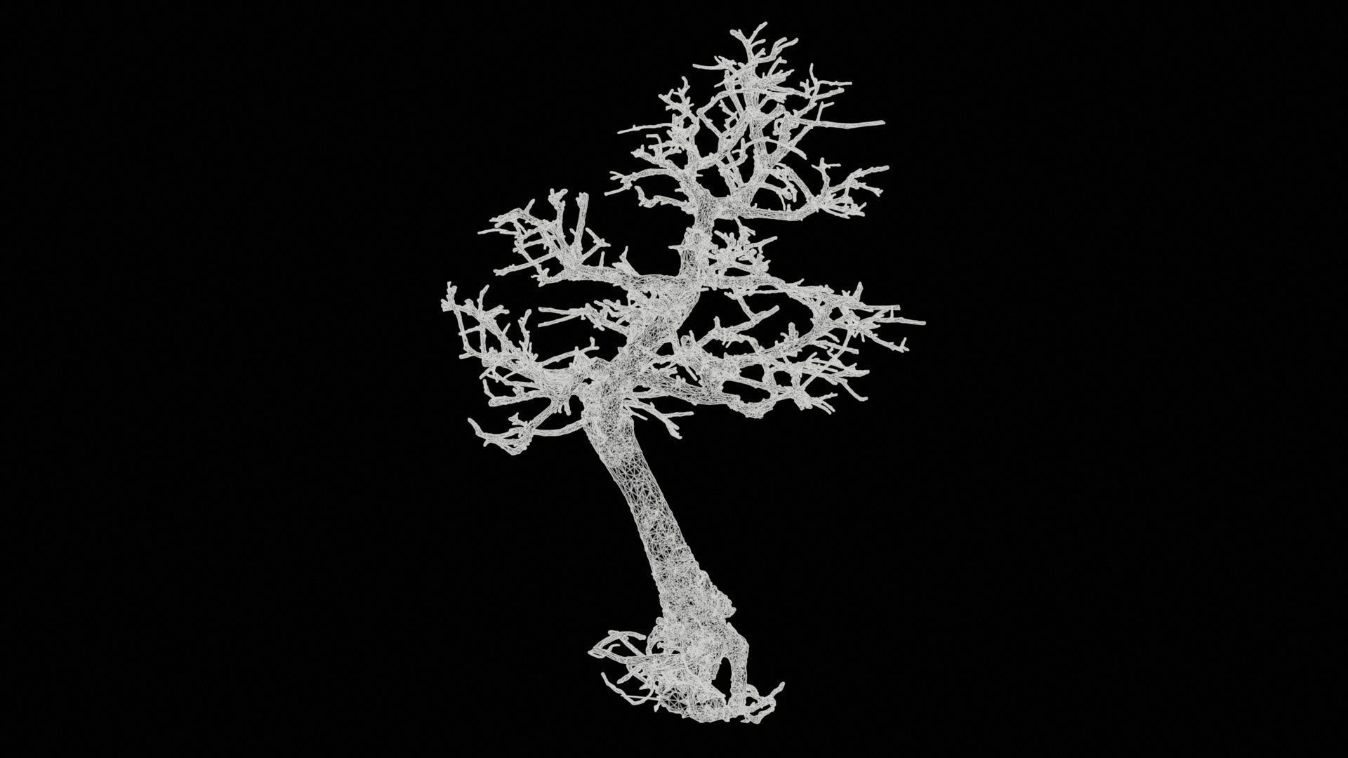 Dead Bonsai Tree 9 Low-poly 3D model_11