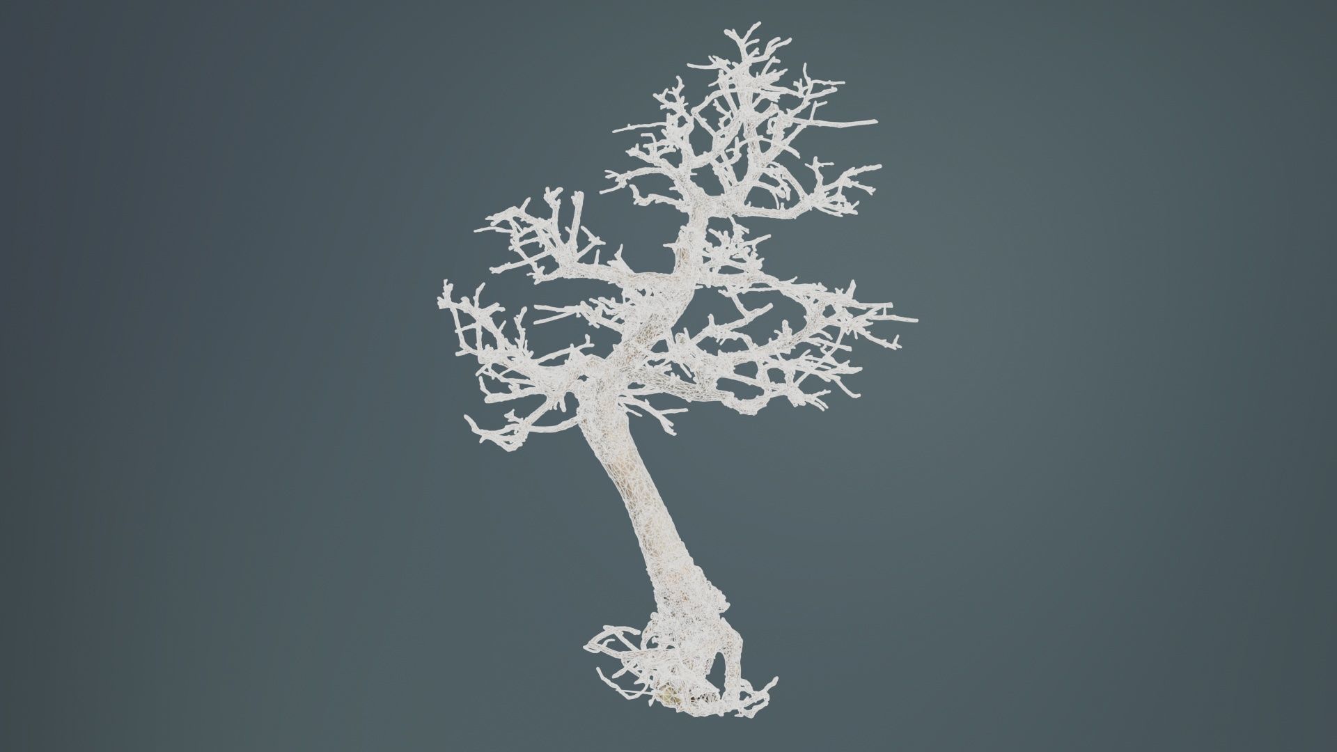 Dead Bonsai Tree 9 Low-poly 3D model_9