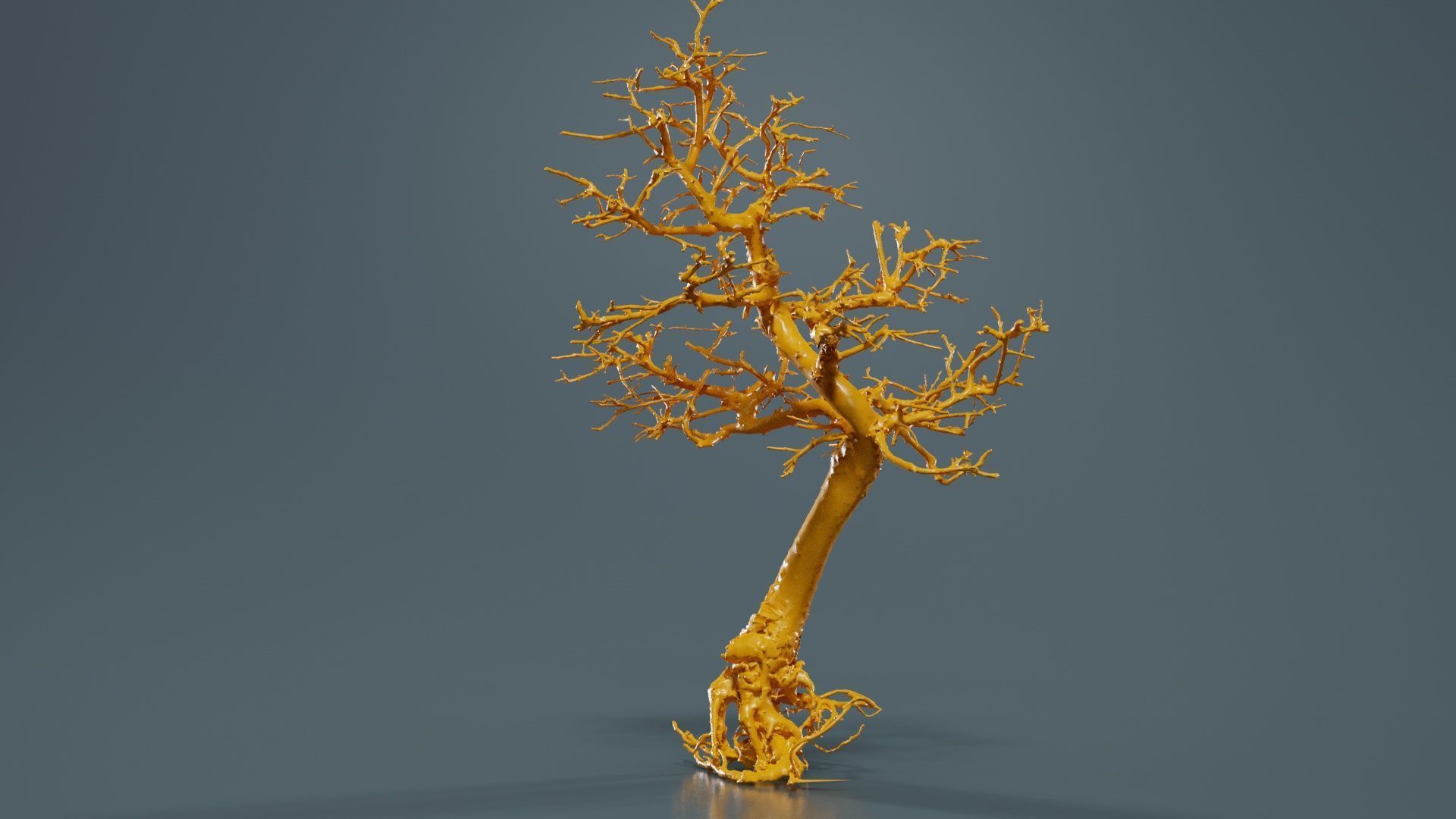 Dead Bonsai Tree 9 Low-poly 3D model_13