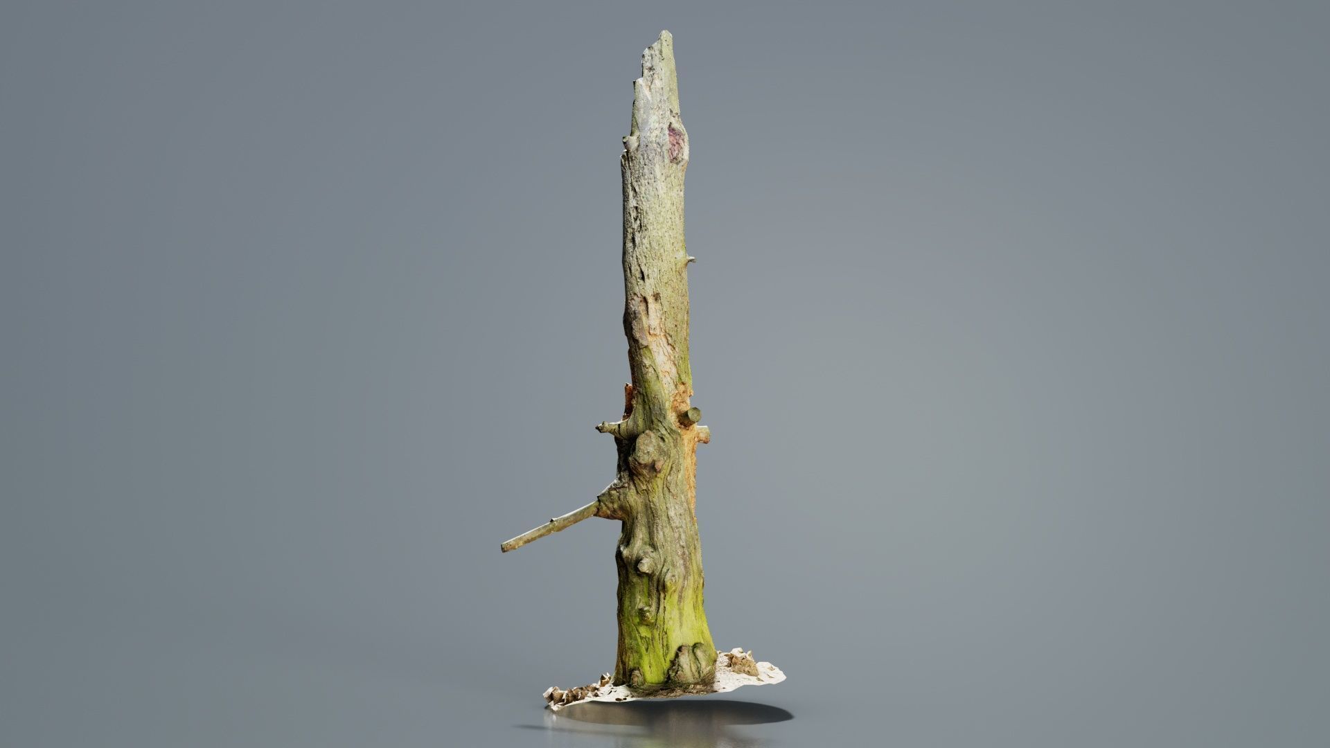 Arrow Stump Bark Tree Low-poly 3D model_1