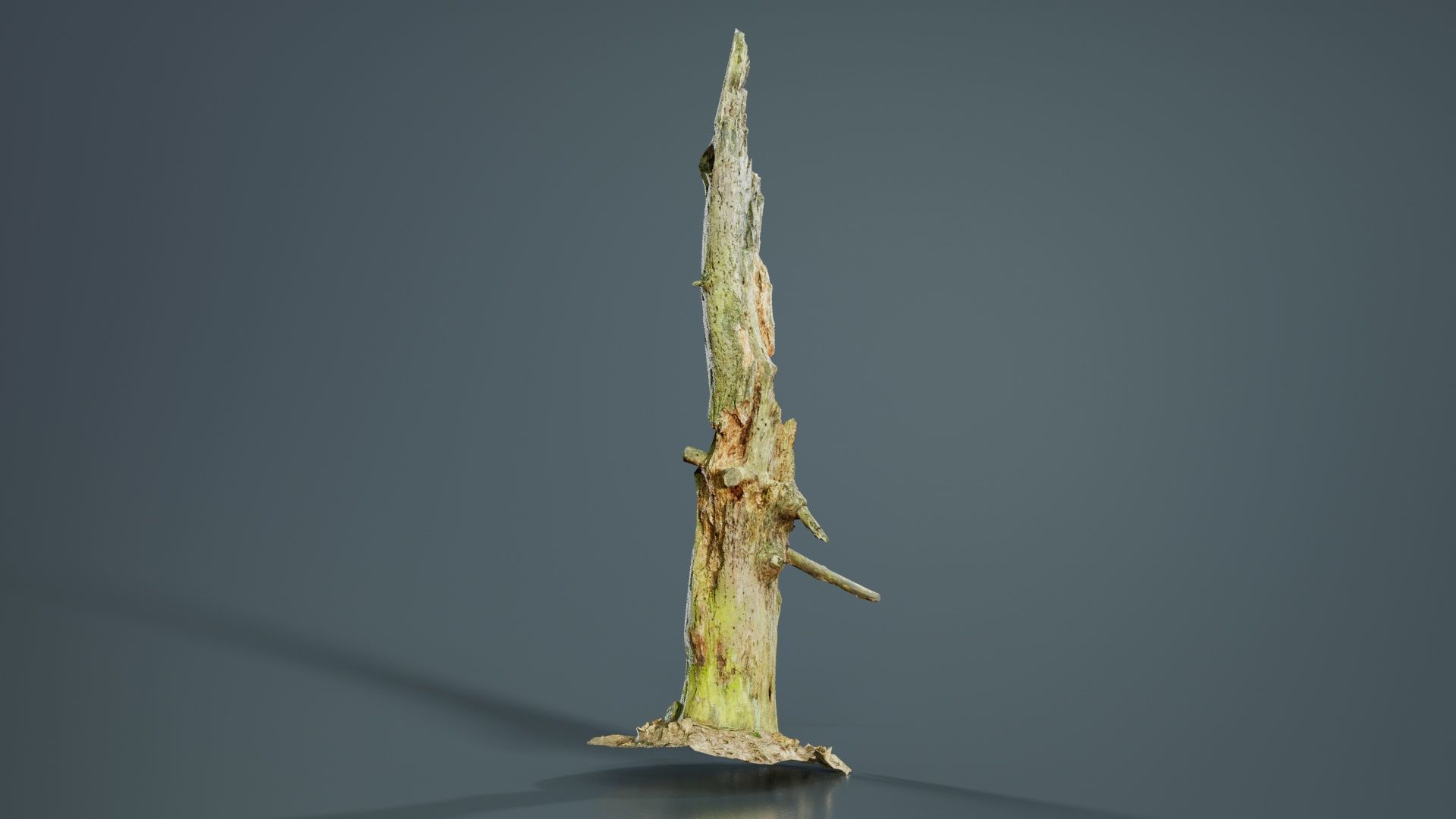 Arrow Stump Bark Tree Low-poly 3D model_4