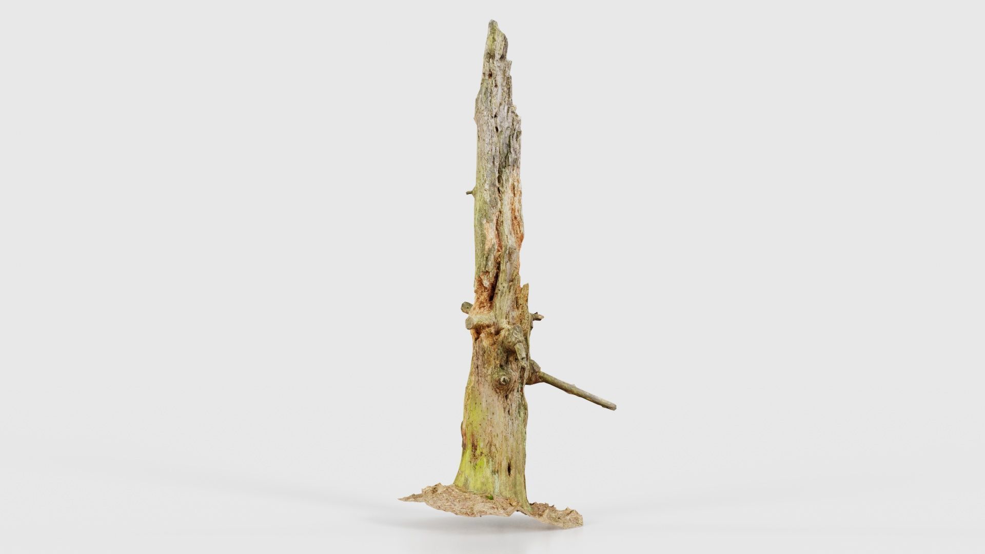 Arrow Stump Bark Tree Low-poly 3D model_17