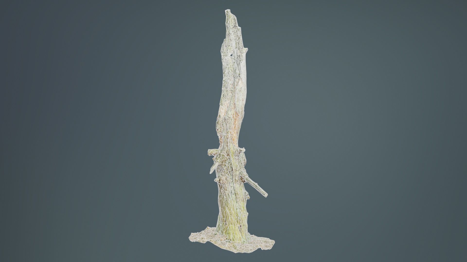 Arrow Stump Bark Tree Low-poly 3D model_9