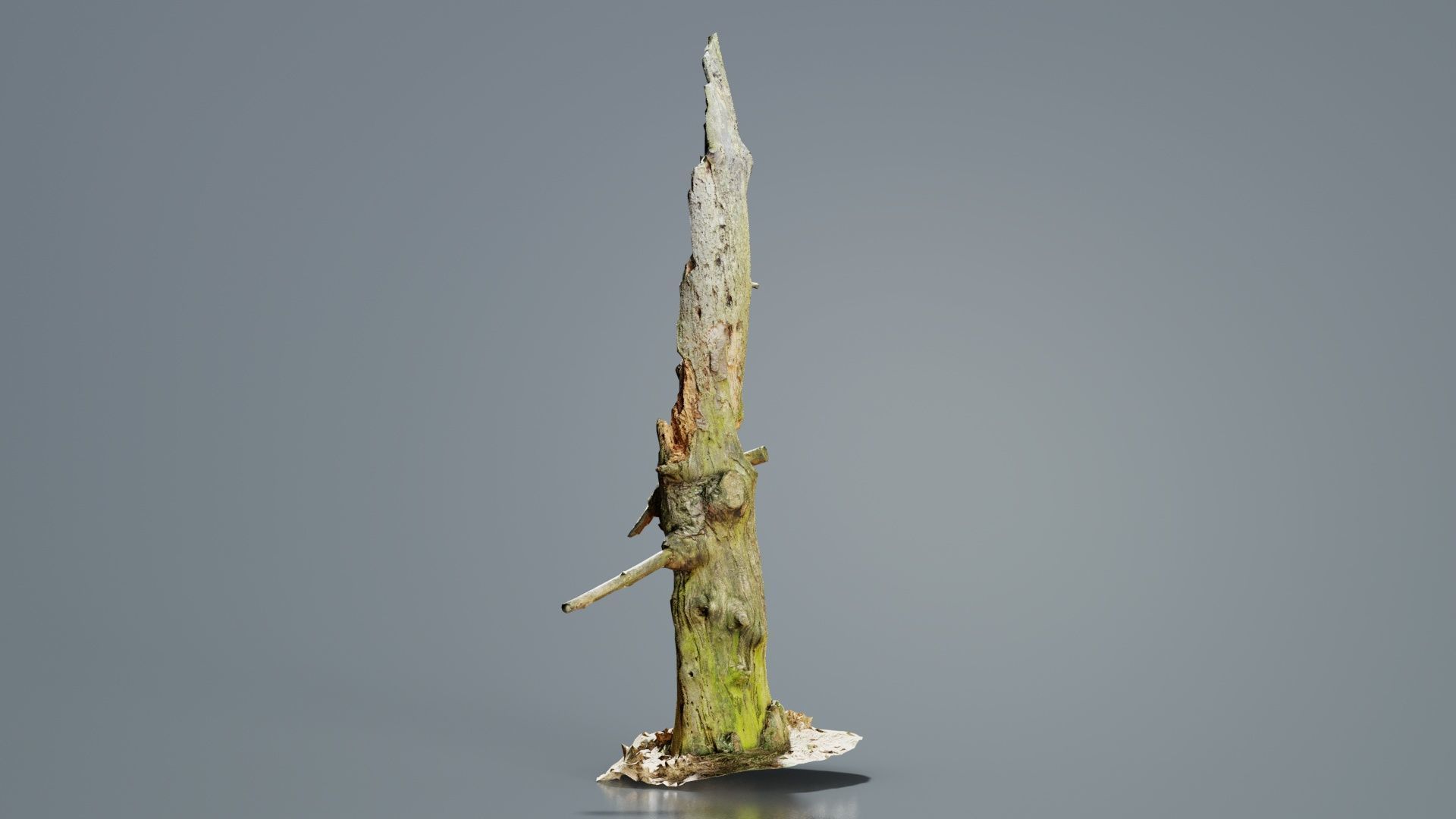 Arrow Stump Bark Tree Low-poly 3D model_6