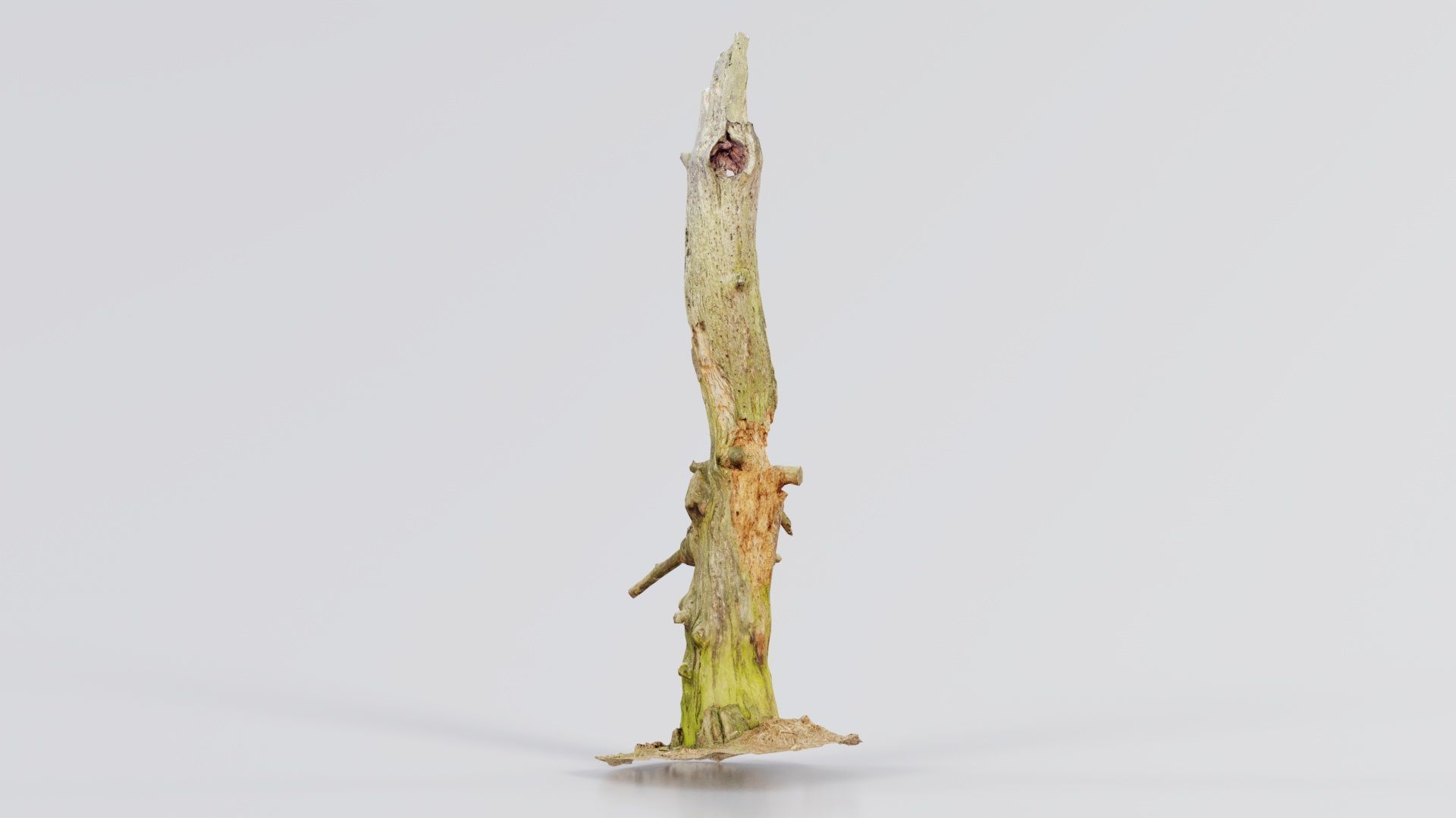 Arrow Stump Bark Tree Low-poly 3D model_3