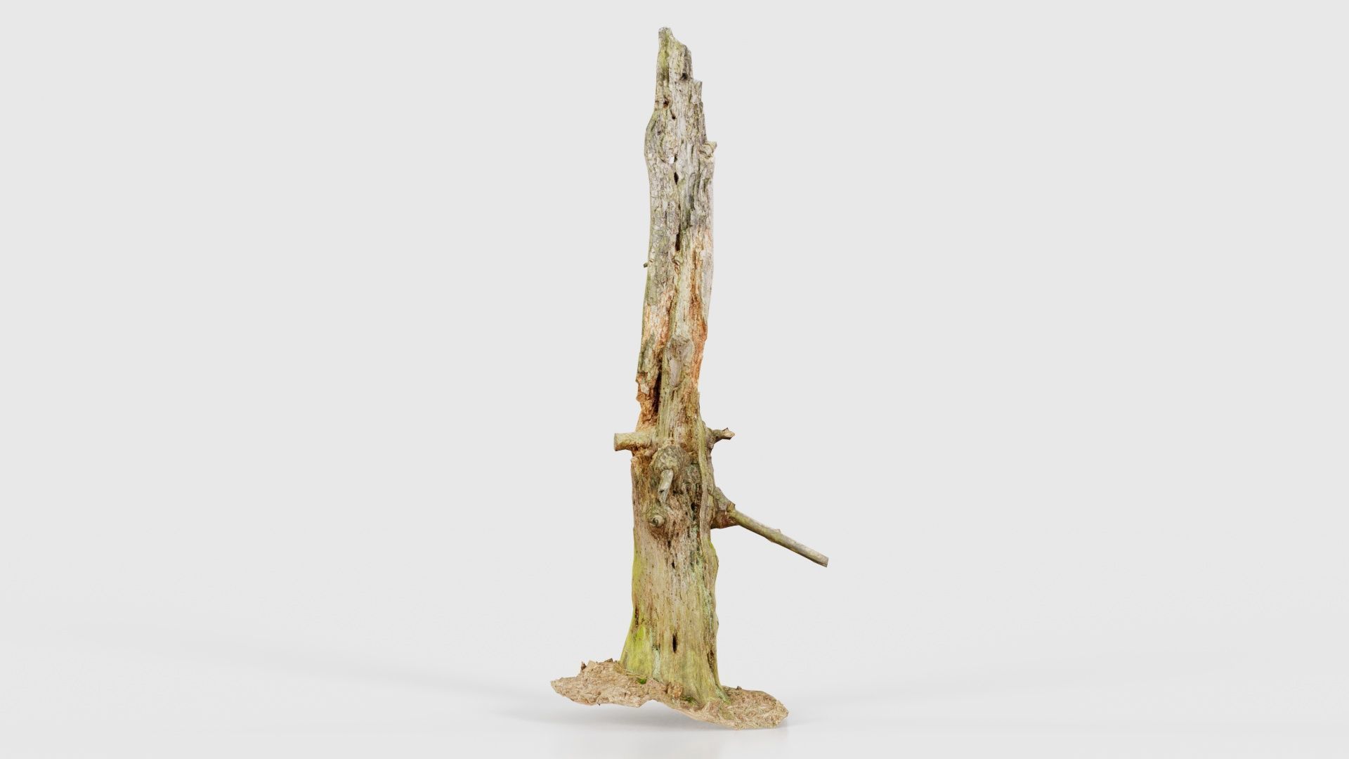 Arrow Stump Bark Tree Low-poly 3D model_16