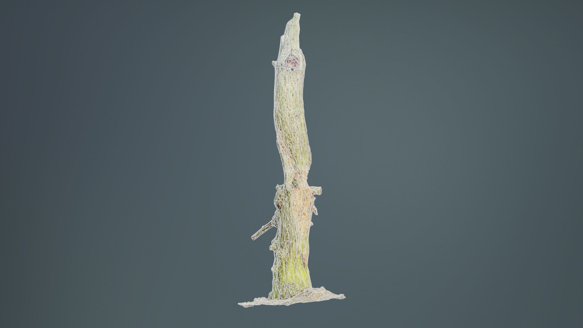 Arrow Stump Bark Tree Low-poly 3D model_10