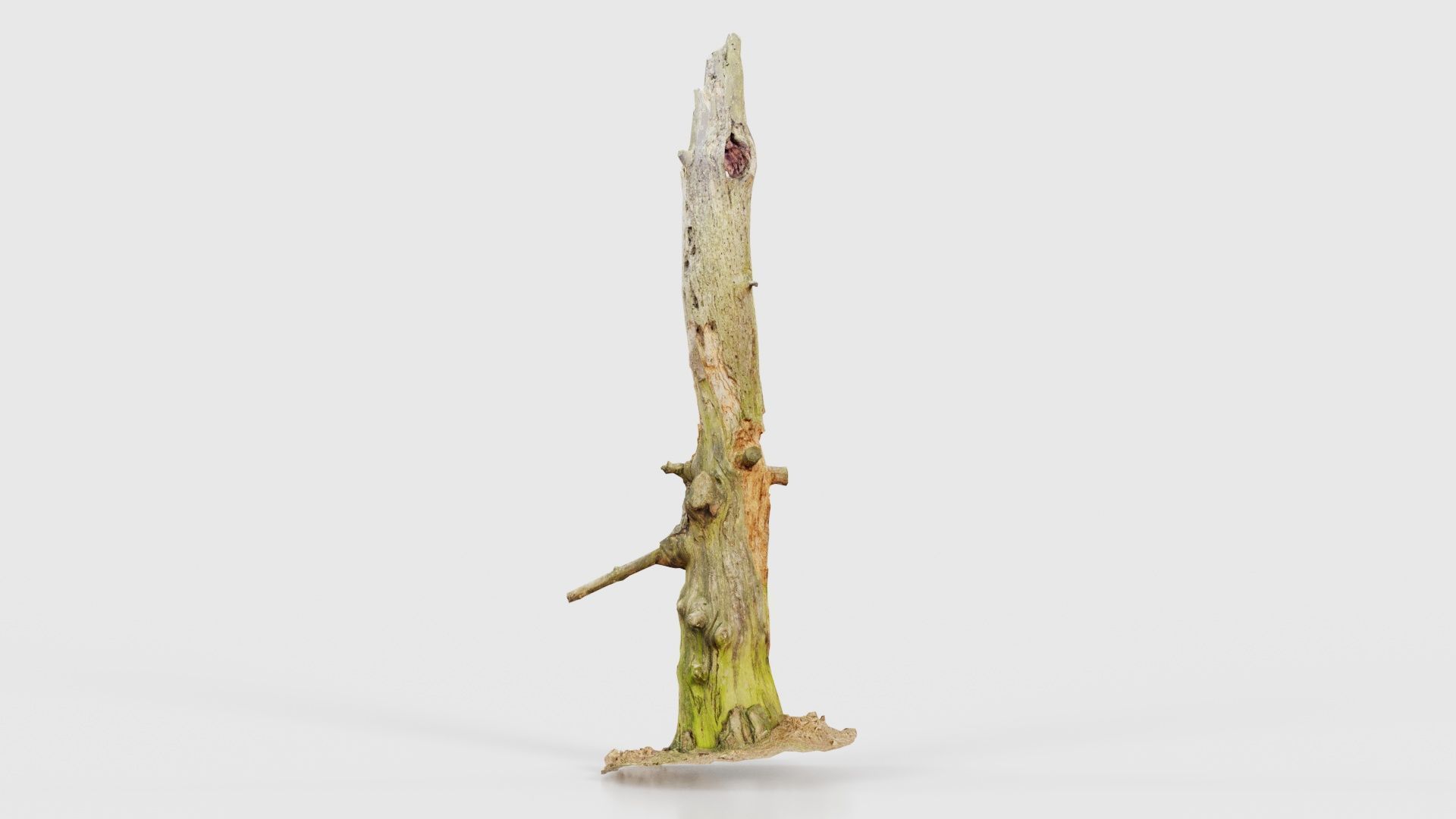 Arrow Stump Bark Tree Low-poly 3D model_22