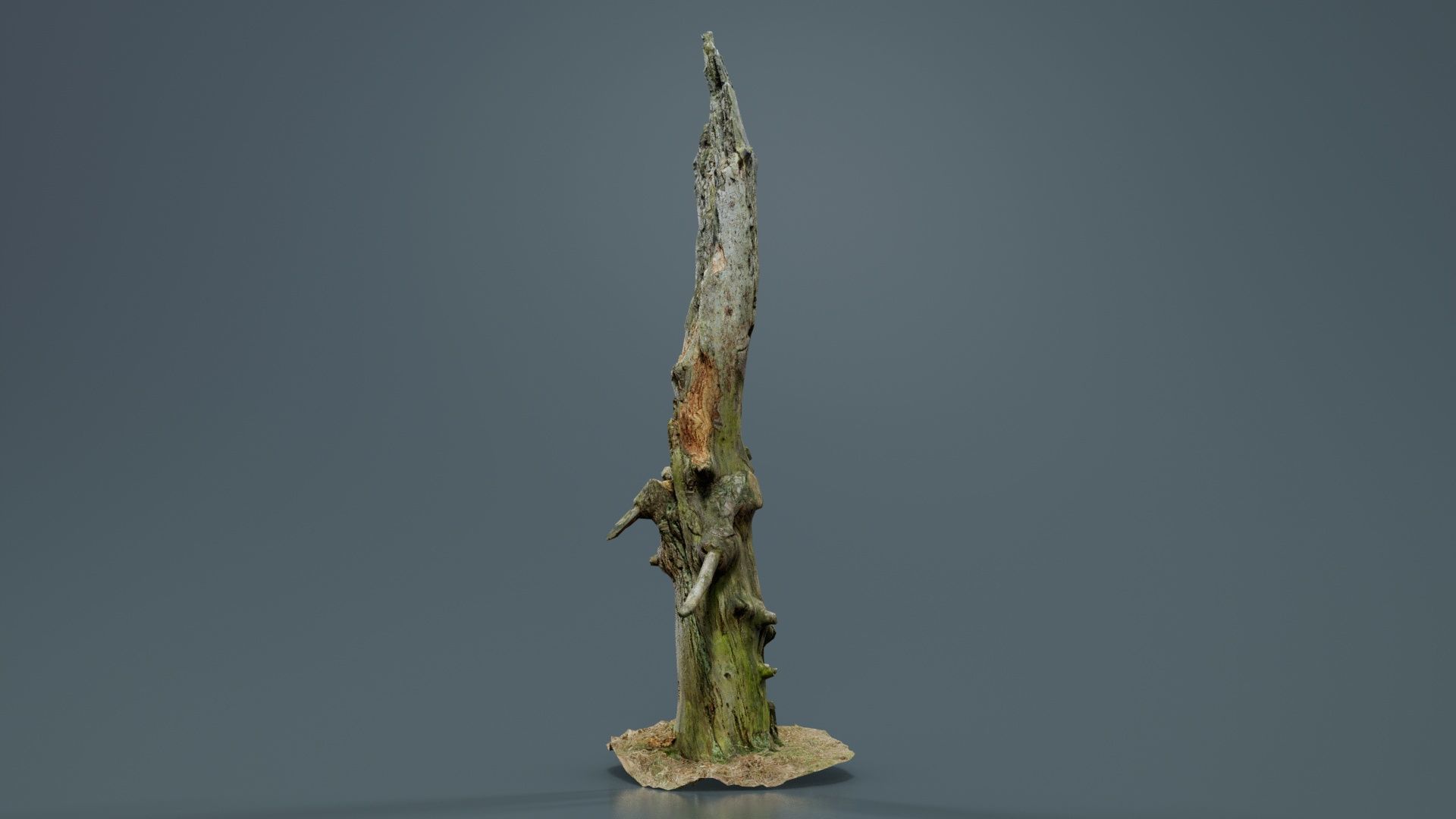 Arrow Stump Bark Tree Low-poly 3D model_5