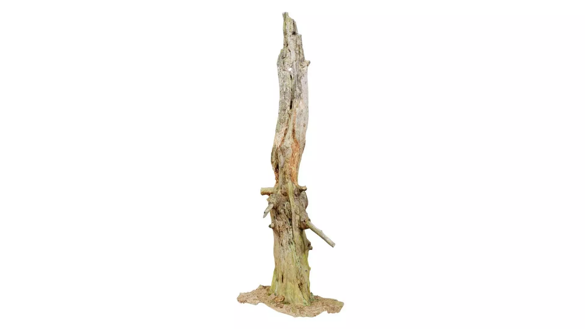 Arrow Stump Bark Tree Low-poly 3D model_0