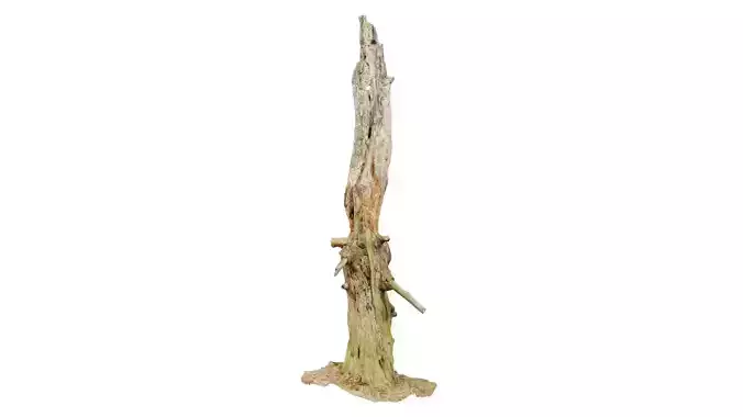Arrow Stump Bark Tree Low-poly 3D model
