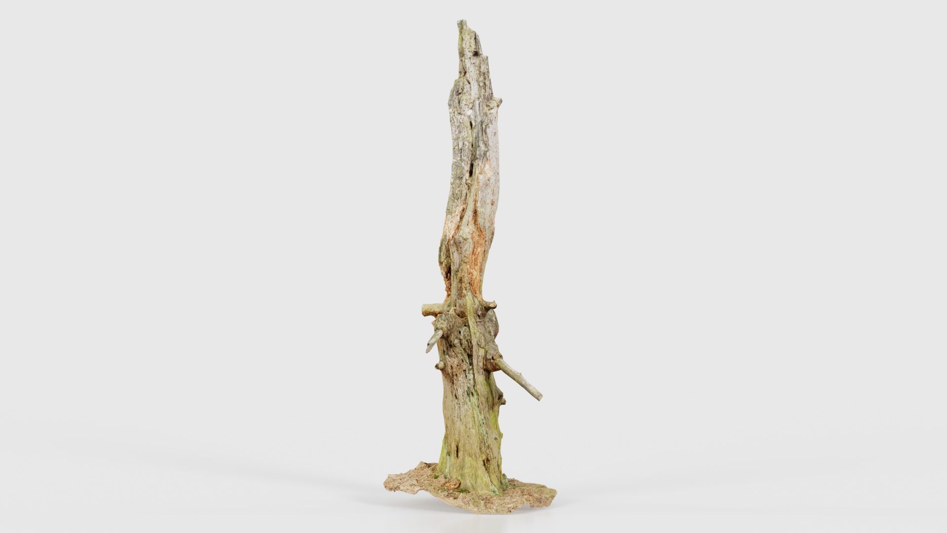 Arrow Stump Bark Tree Low-poly 3D model_15