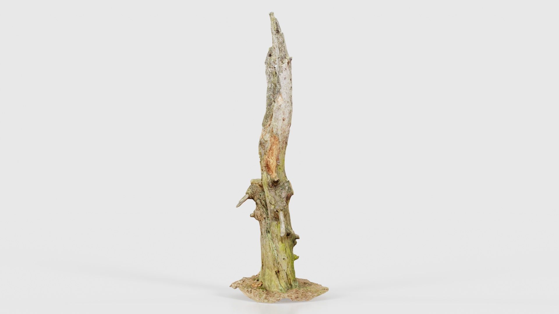 Arrow Stump Bark Tree Low-poly 3D model_26