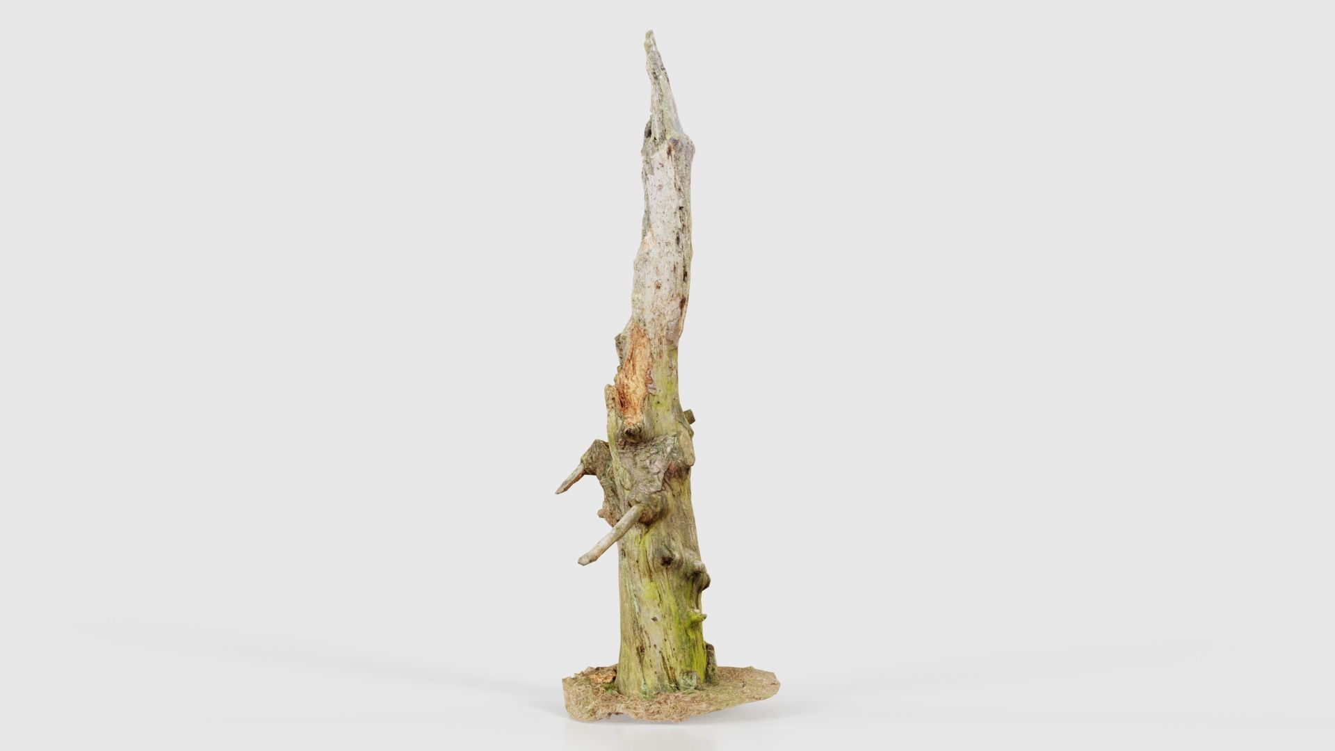 Arrow Stump Bark Tree Low-poly 3D model_25