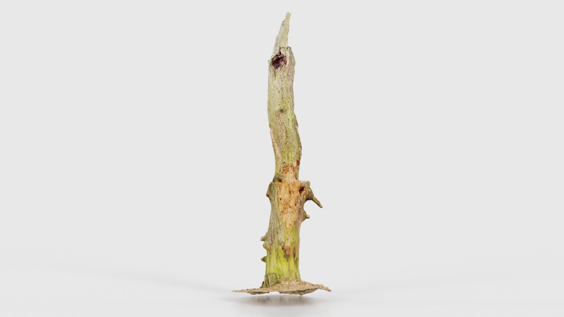 Arrow Stump Bark Tree Low-poly 3D model_20