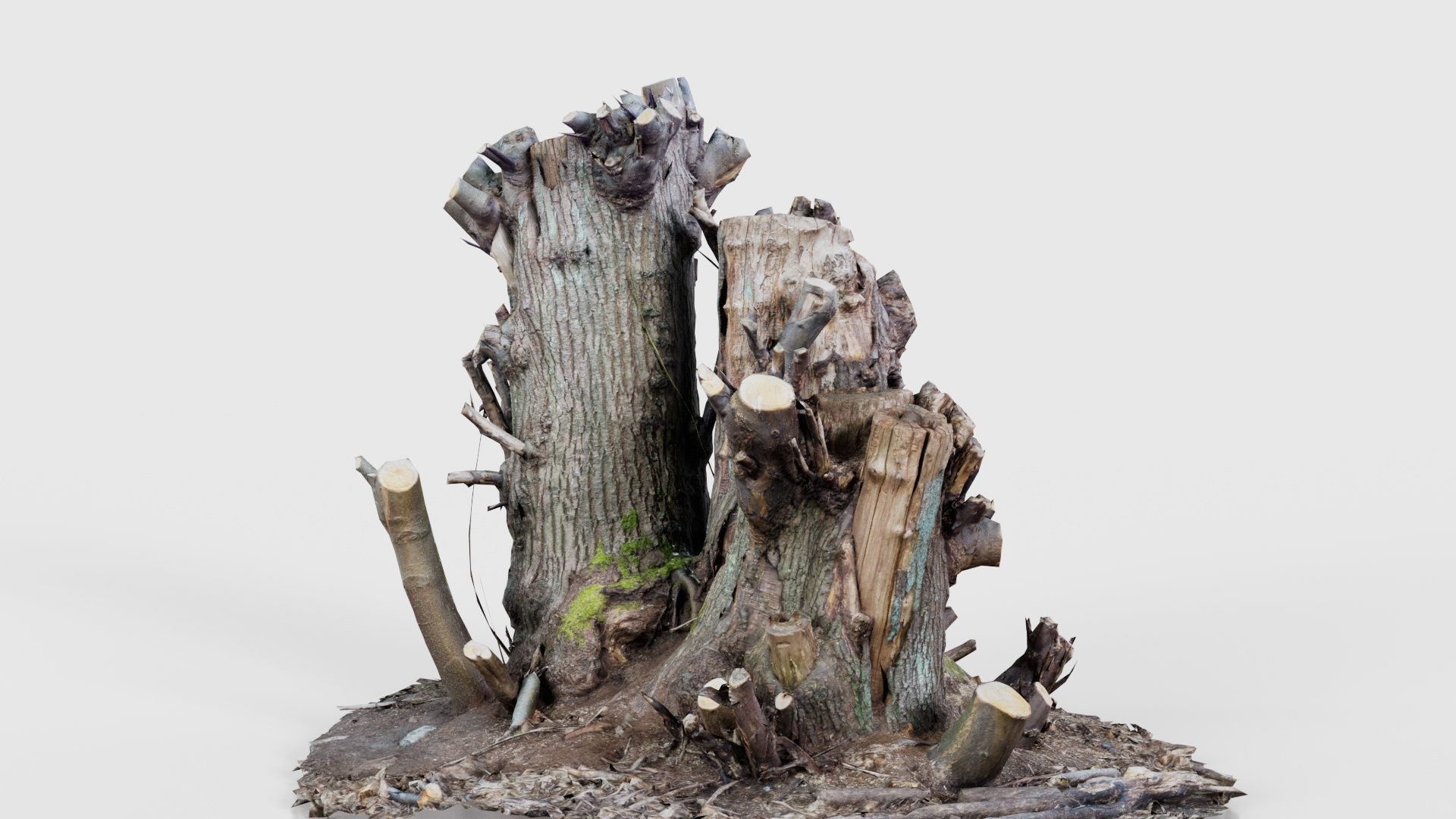 Cut Tree Tripple Stumps Low-poly 3D model_26