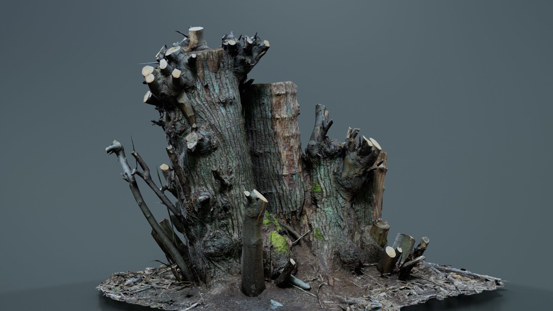 Cut Tree Tripple Stumps Low-poly 3D model_4