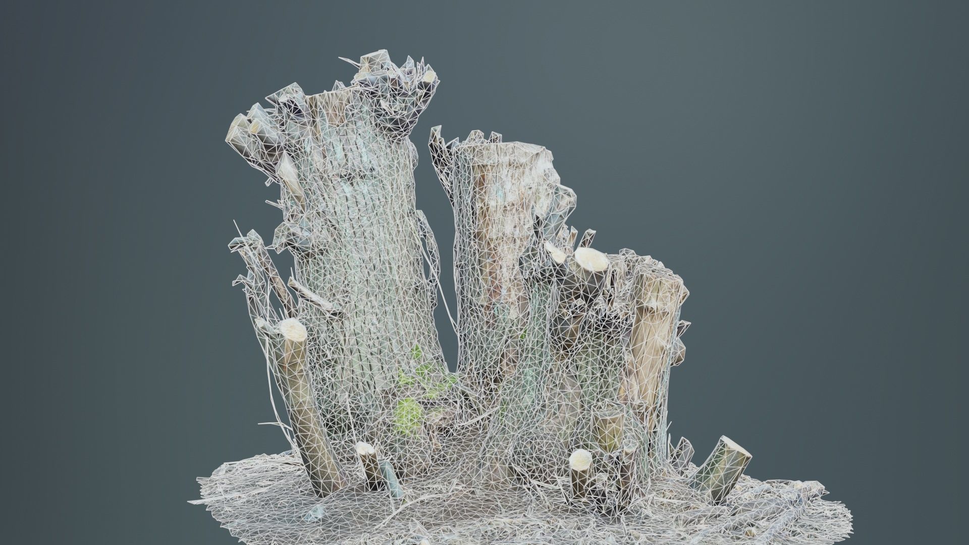 Cut Tree Tripple Stumps Low-poly 3D model_9