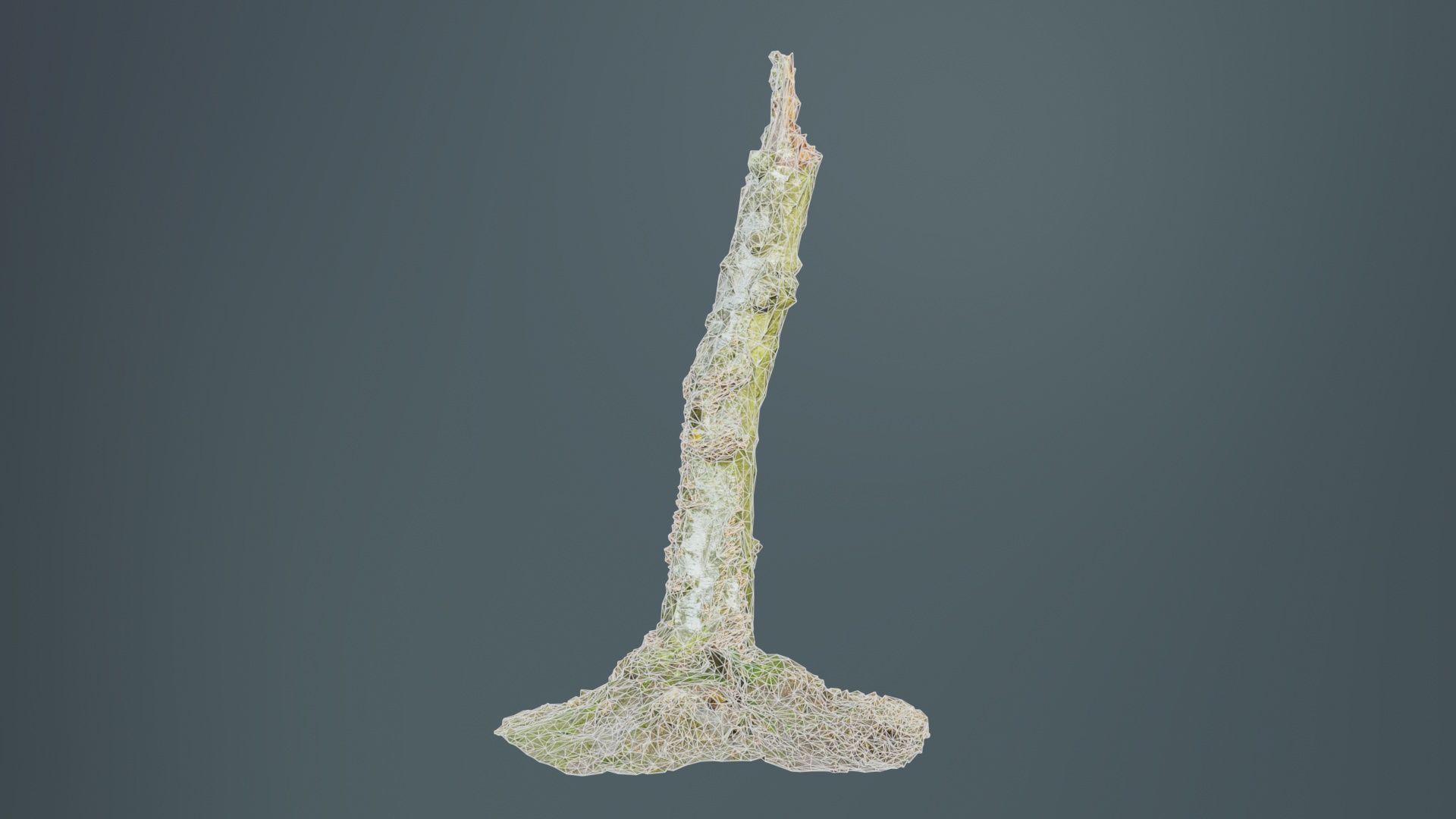 Cute Stump Bark Tree Low-poly 3D model_9