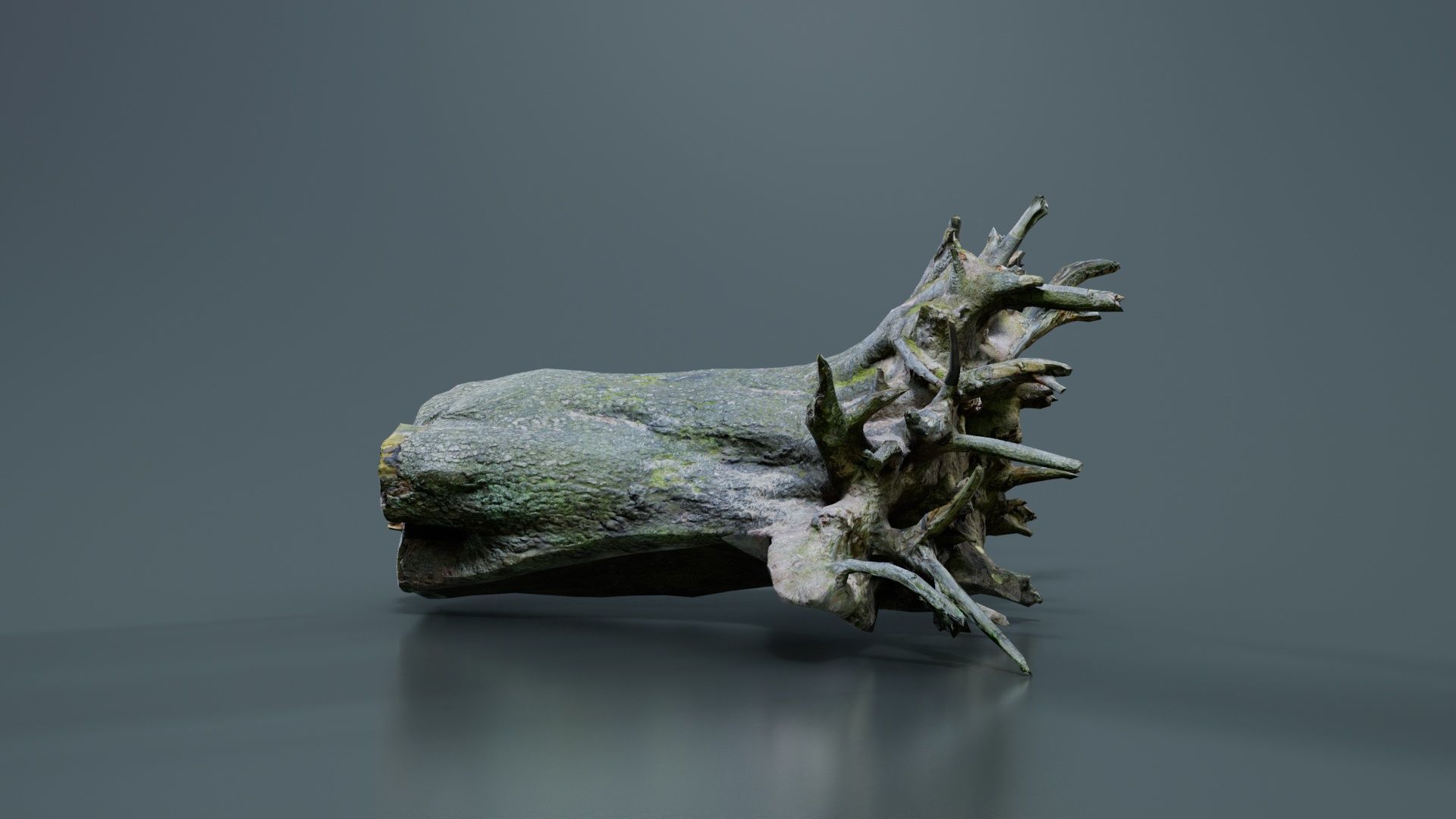 Fallen Tree Stump Roots Low-poly 3D model_7