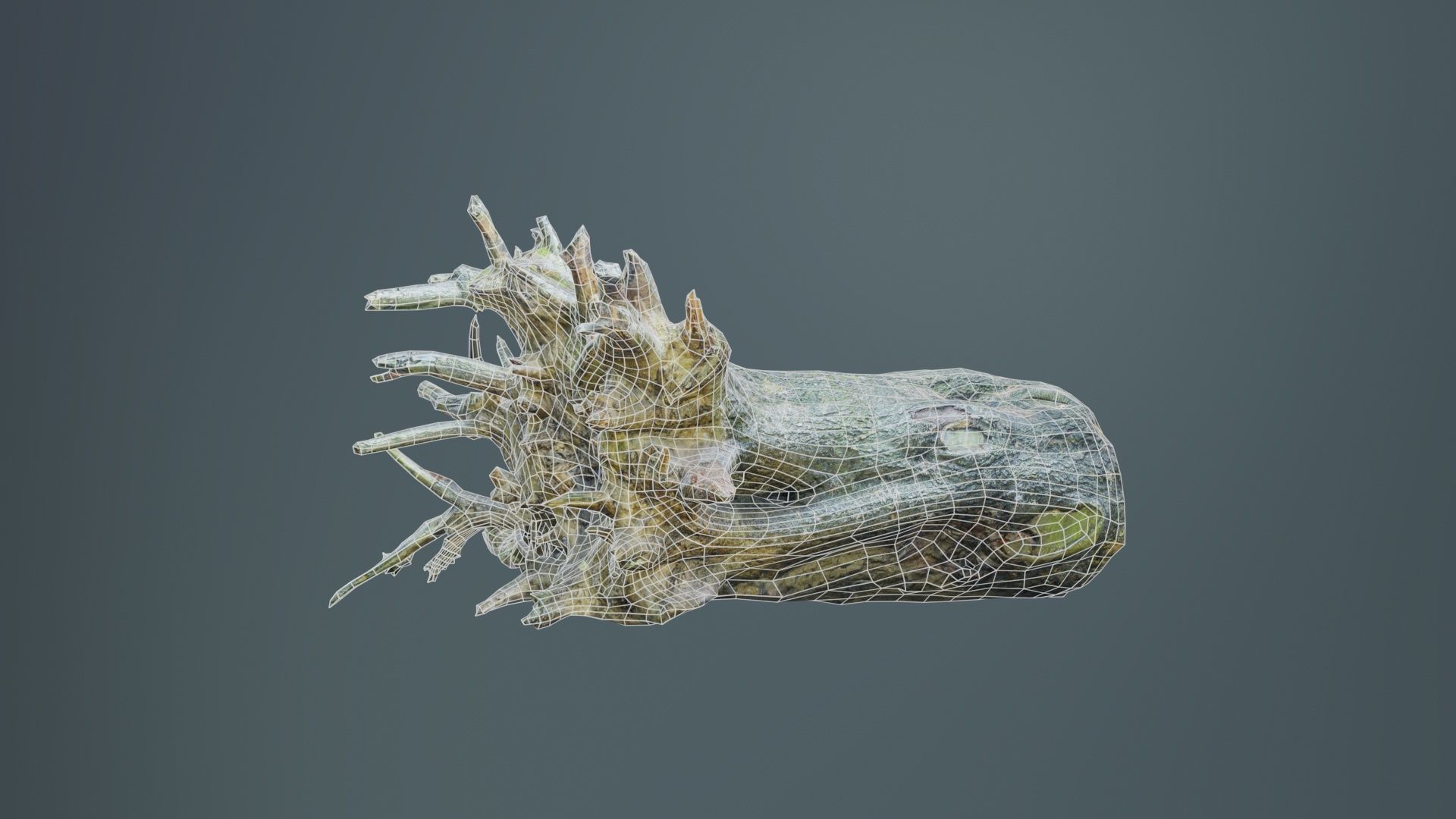 Fallen Tree Stump Roots Low-poly 3D model_9