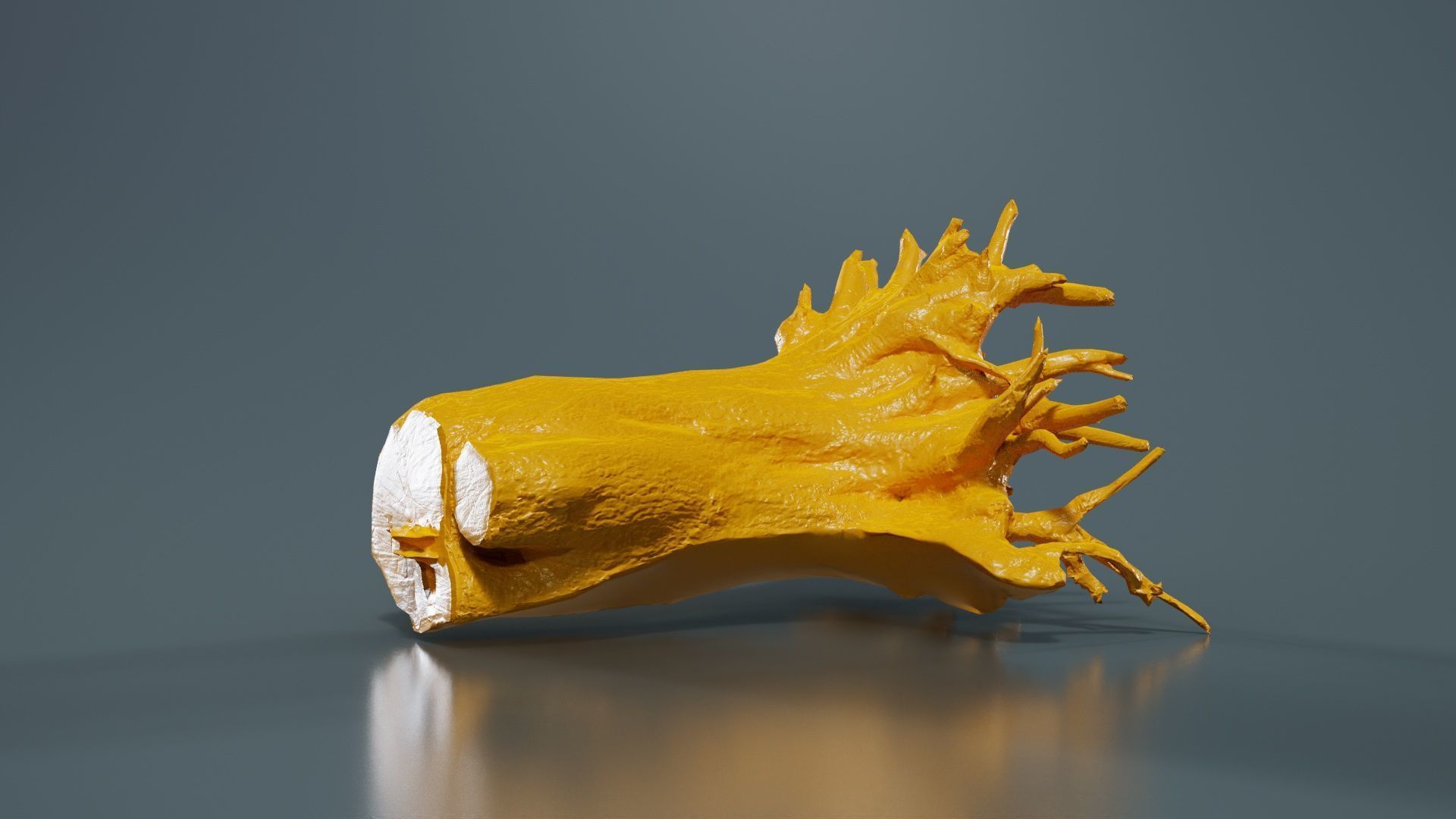 Fallen Tree Stump Roots Low-poly 3D model_13