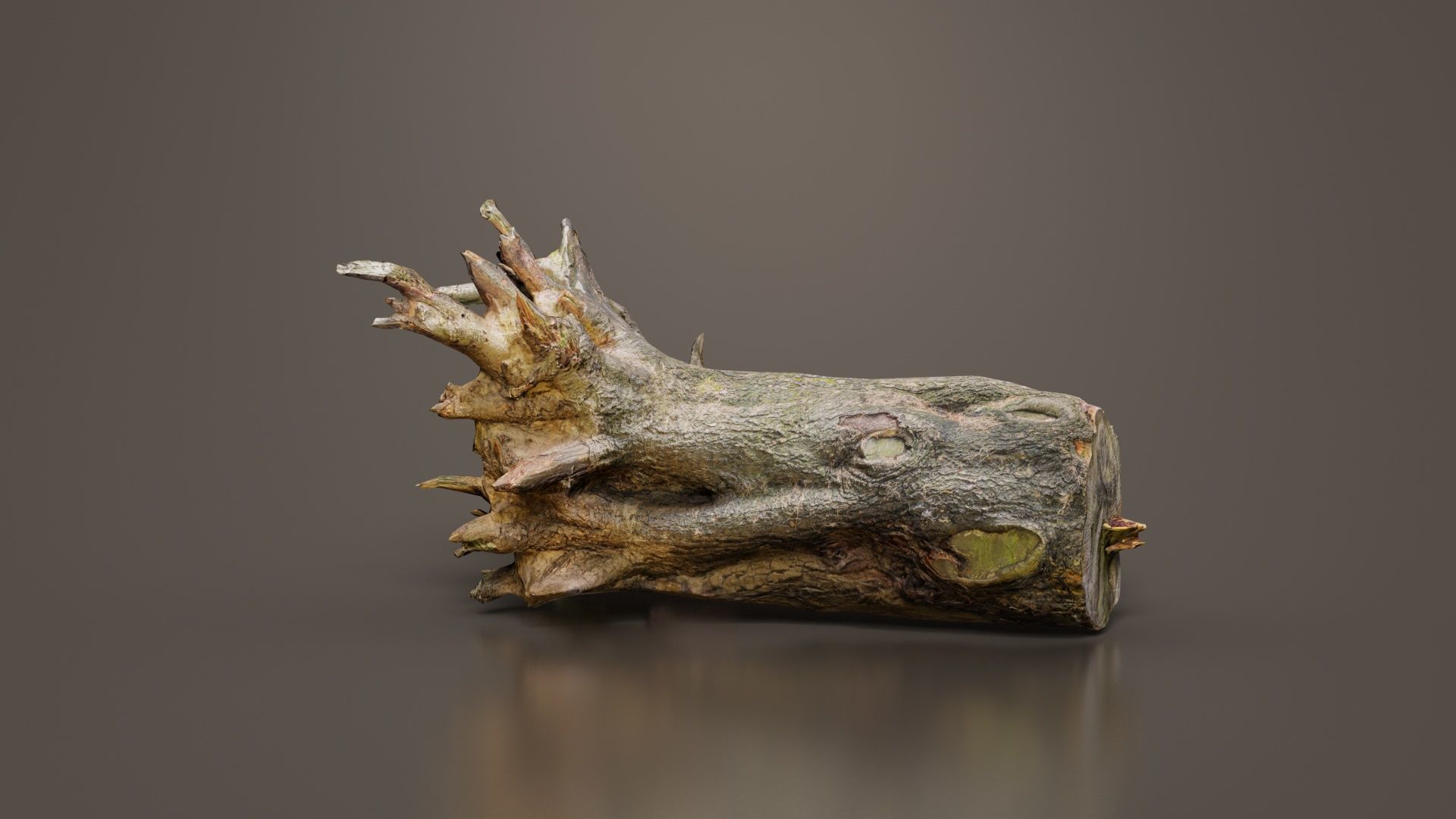 Fallen Tree Stump Roots Low-poly 3D model_6