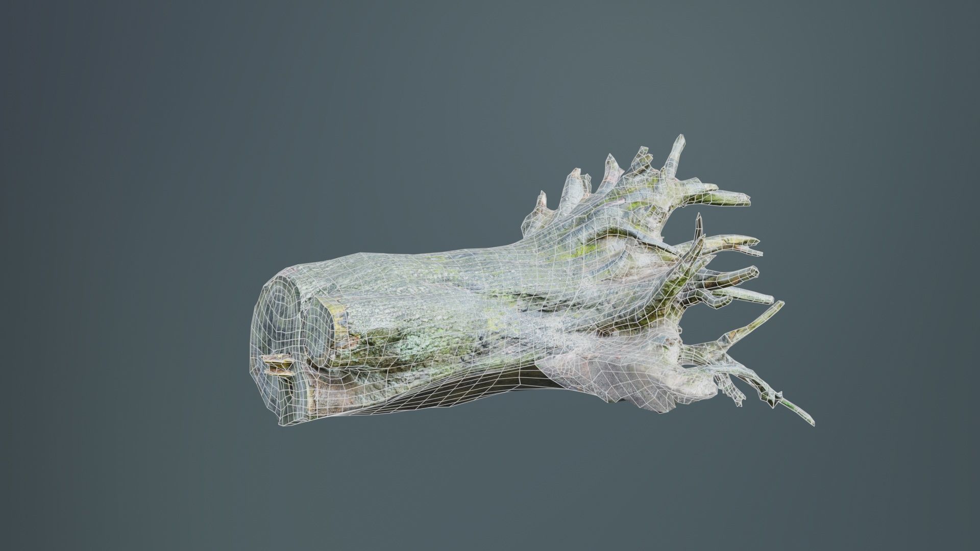 Fallen Tree Stump Roots Low-poly 3D model_10