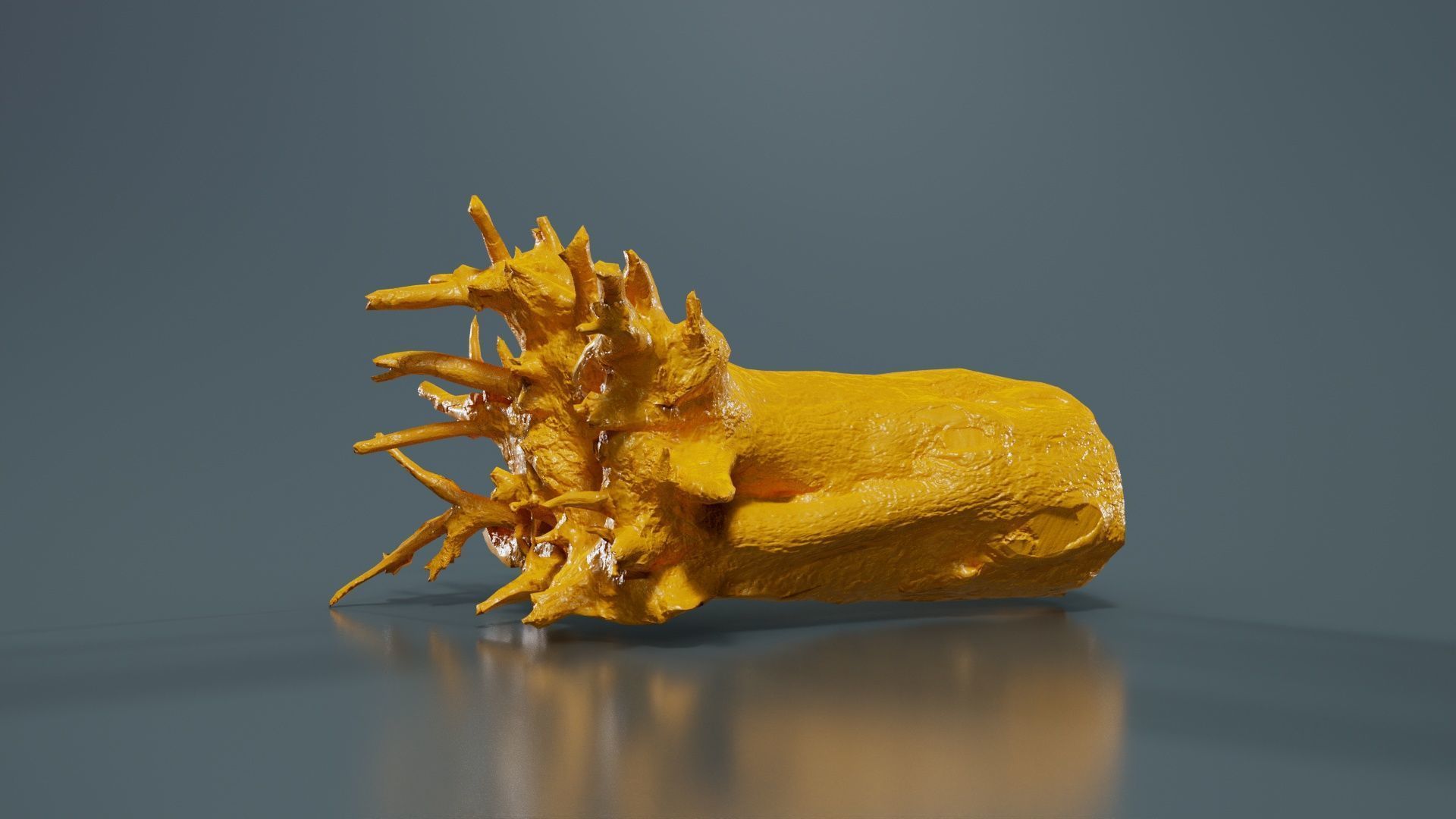 Fallen Tree Stump Roots Low-poly 3D model_12