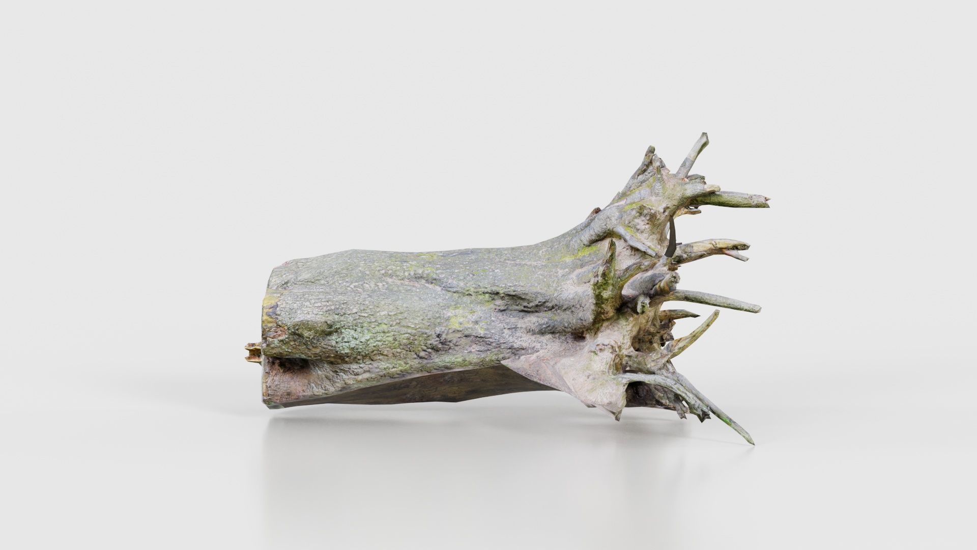 Fallen Tree Stump Roots Low-poly 3D model_20