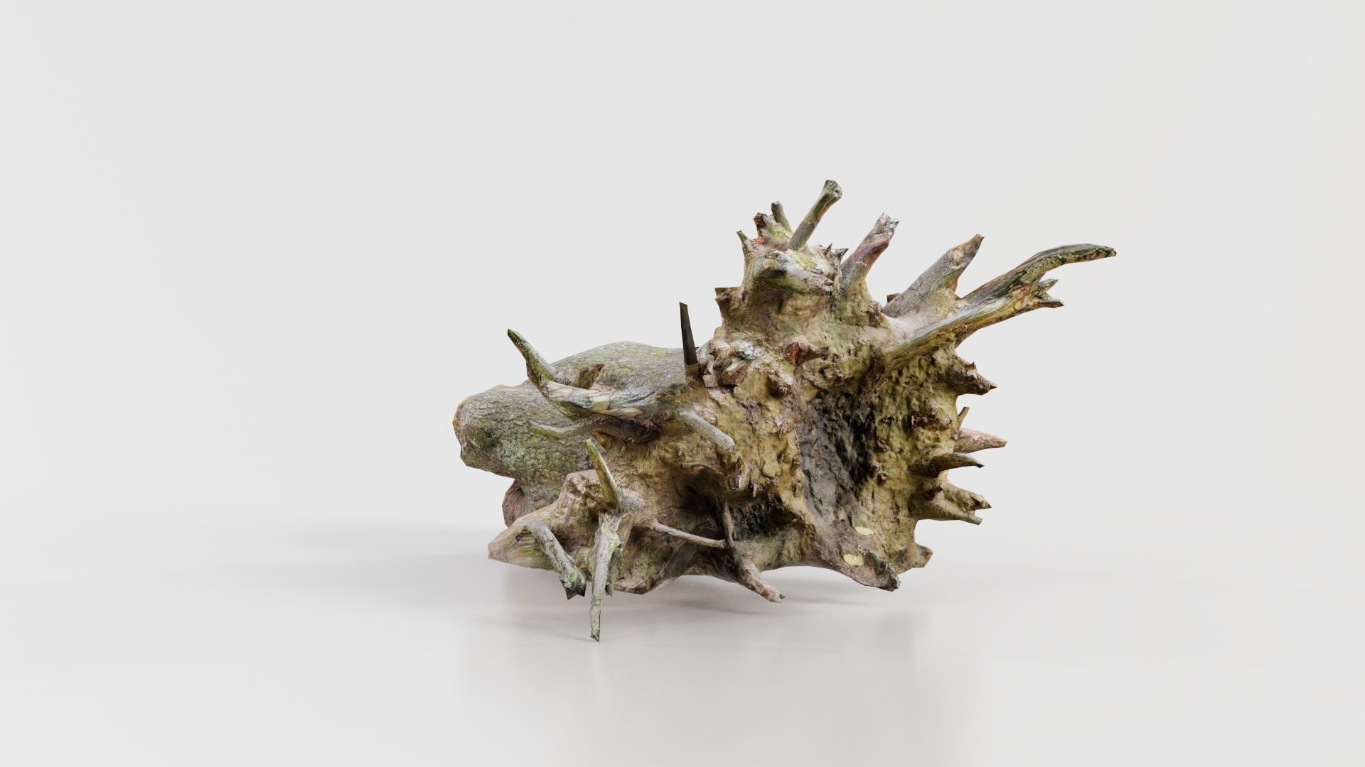 Fallen Tree Stump Roots Low-poly 3D model_2