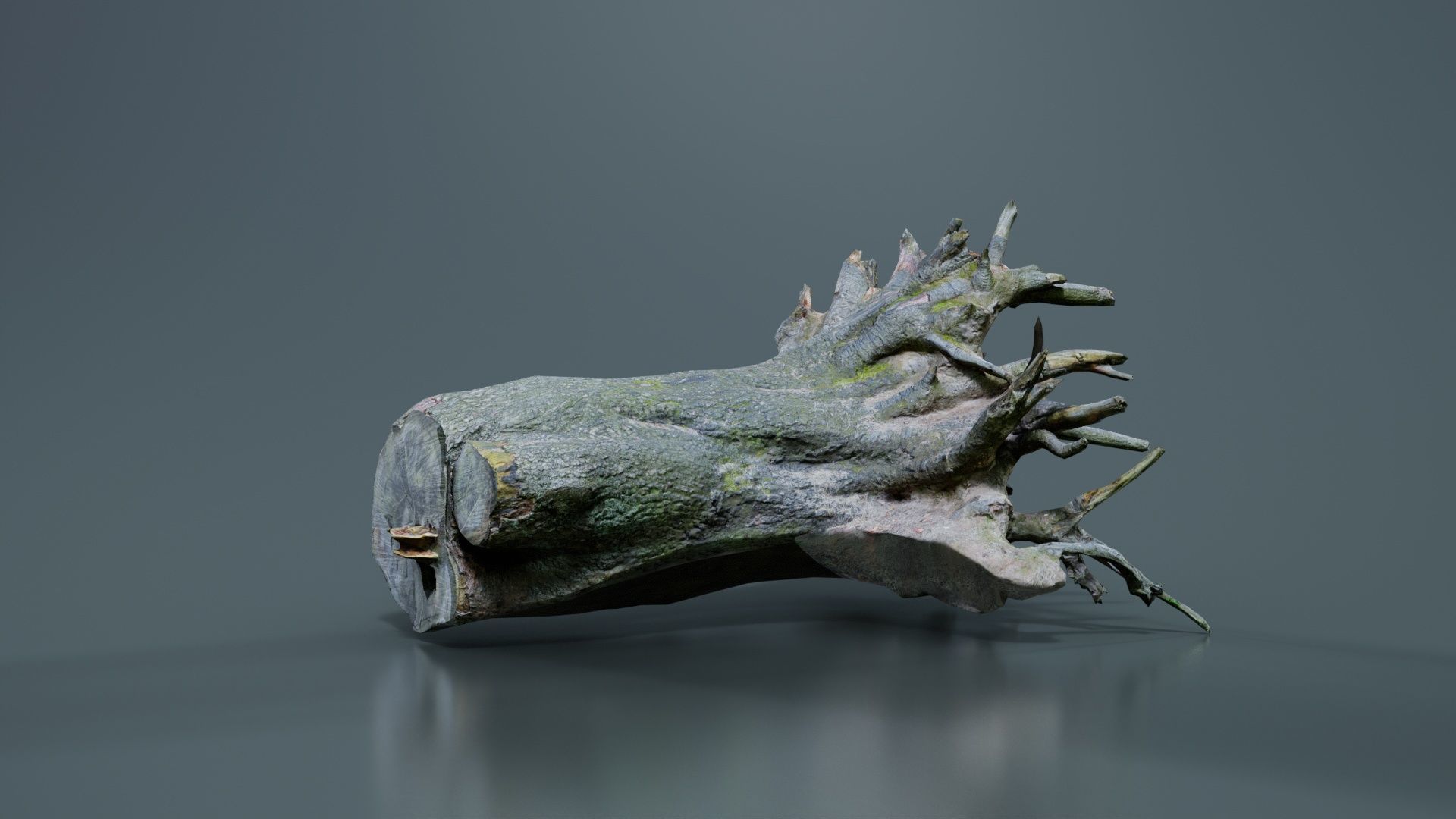 Fallen Tree Stump Roots Low-poly 3D model_4