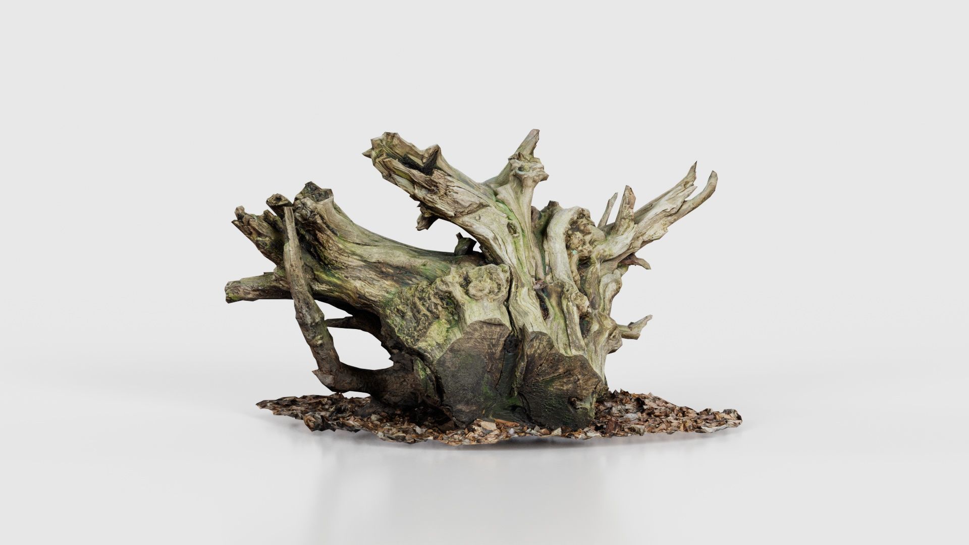 Intricate Tree Root Stump Low-poly 3D model_22