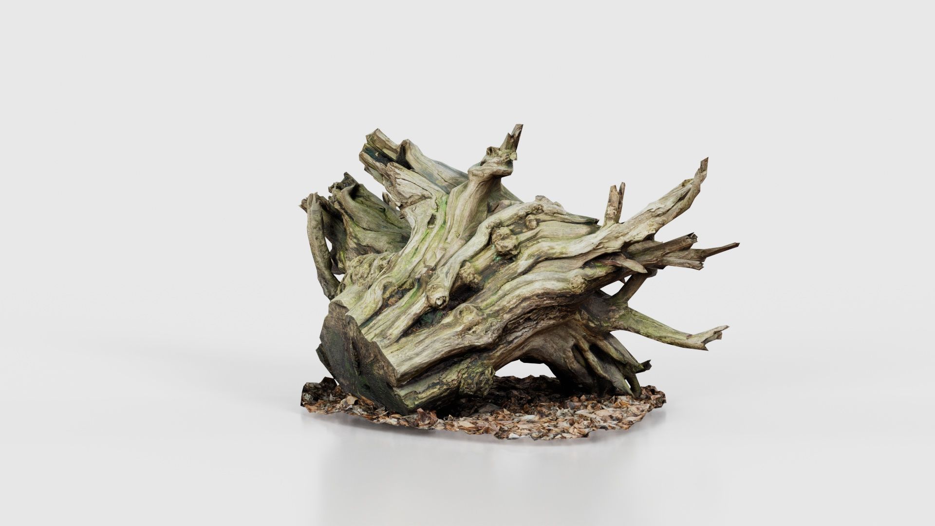 Intricate Tree Root Stump Low-poly 3D model_20