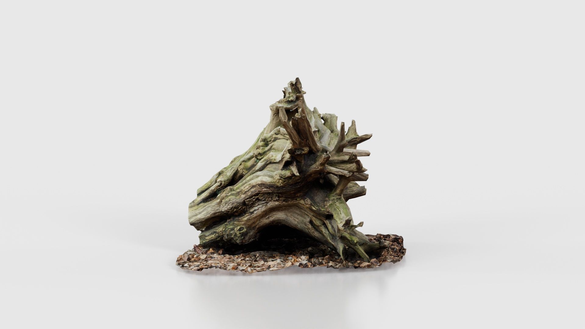 Intricate Tree Root Stump Low-poly 3D model_18