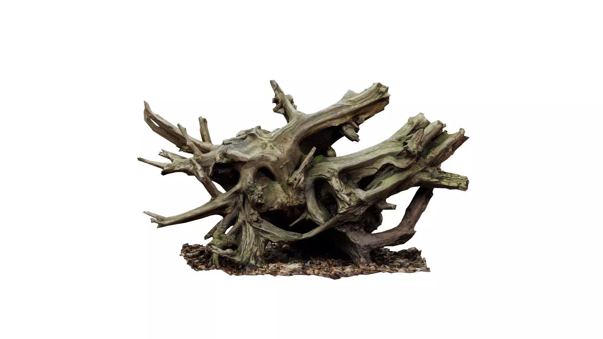 Intricate Tree Root Stump Low-poly 3D model_0