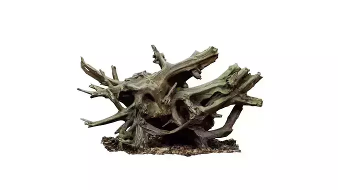 Intricate Tree Root Stump Low-poly 3D model Intricate Tree Root Stump Low-poly 3D model
