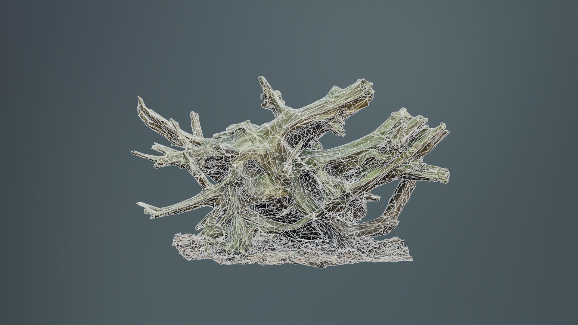 Intricate Tree Root Stump Low-poly 3D model_9