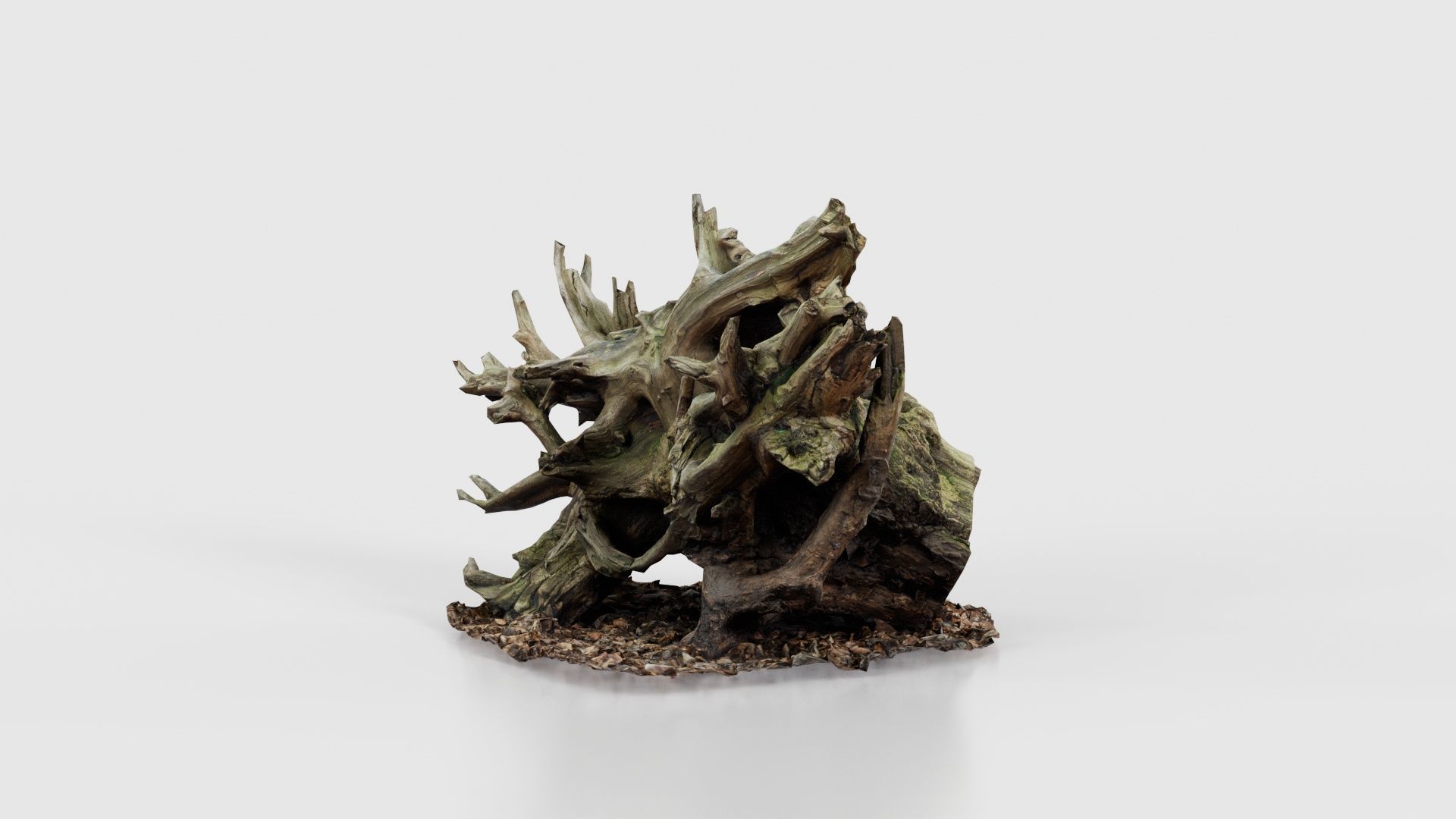 Intricate Tree Root Stump Low-poly 3D model_25