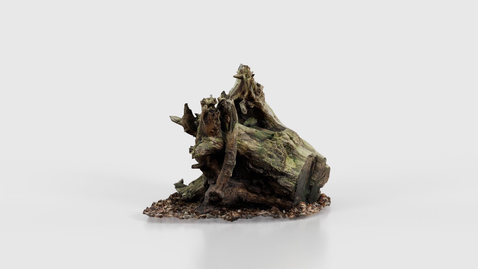 Intricate Tree Root Stump Low-poly 3D model_24