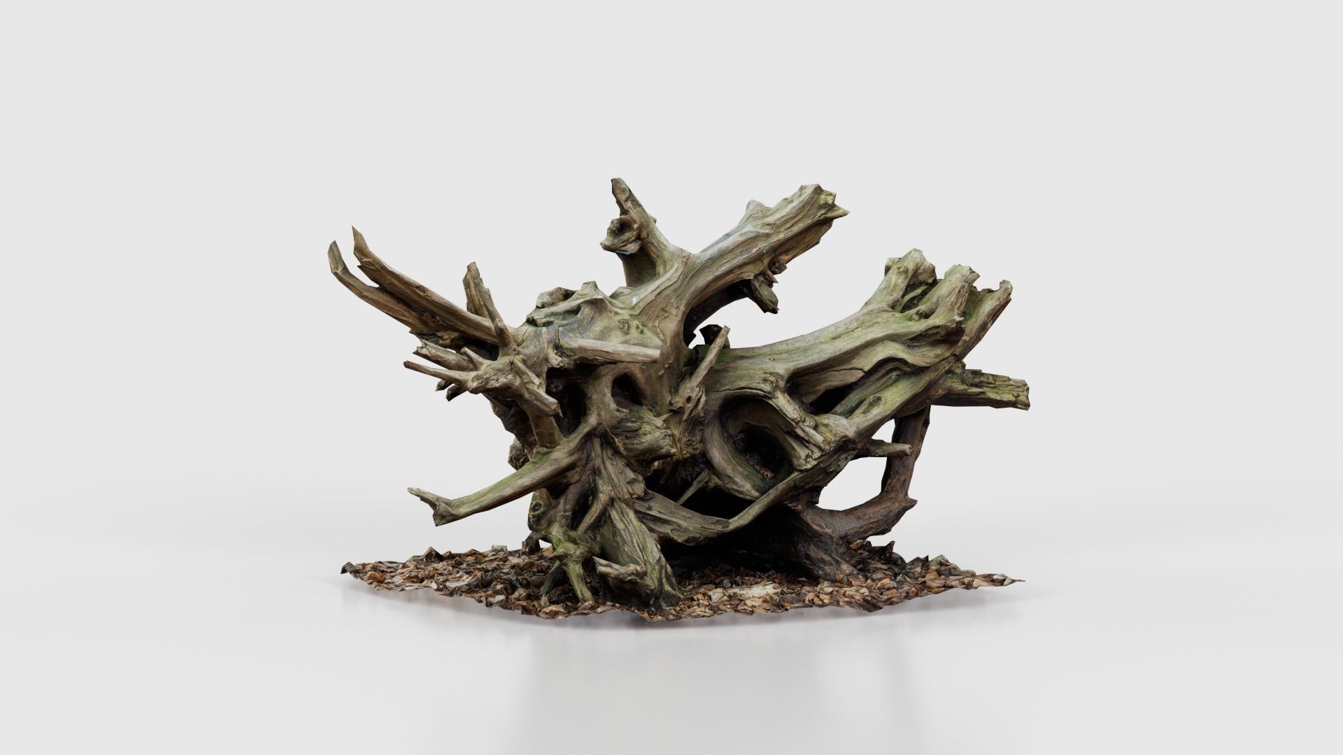 Intricate Tree Root Stump Low-poly 3D model_16