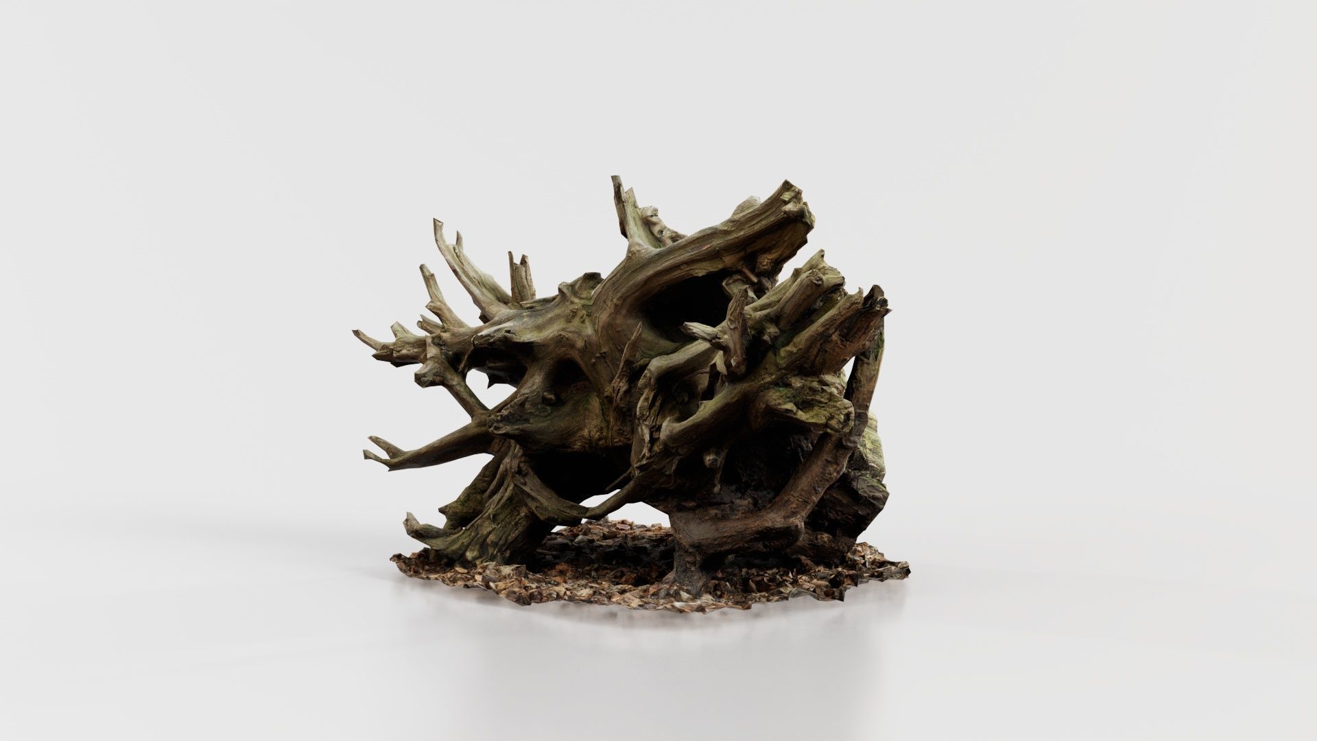 Intricate Tree Root Stump Low-poly 3D model_5