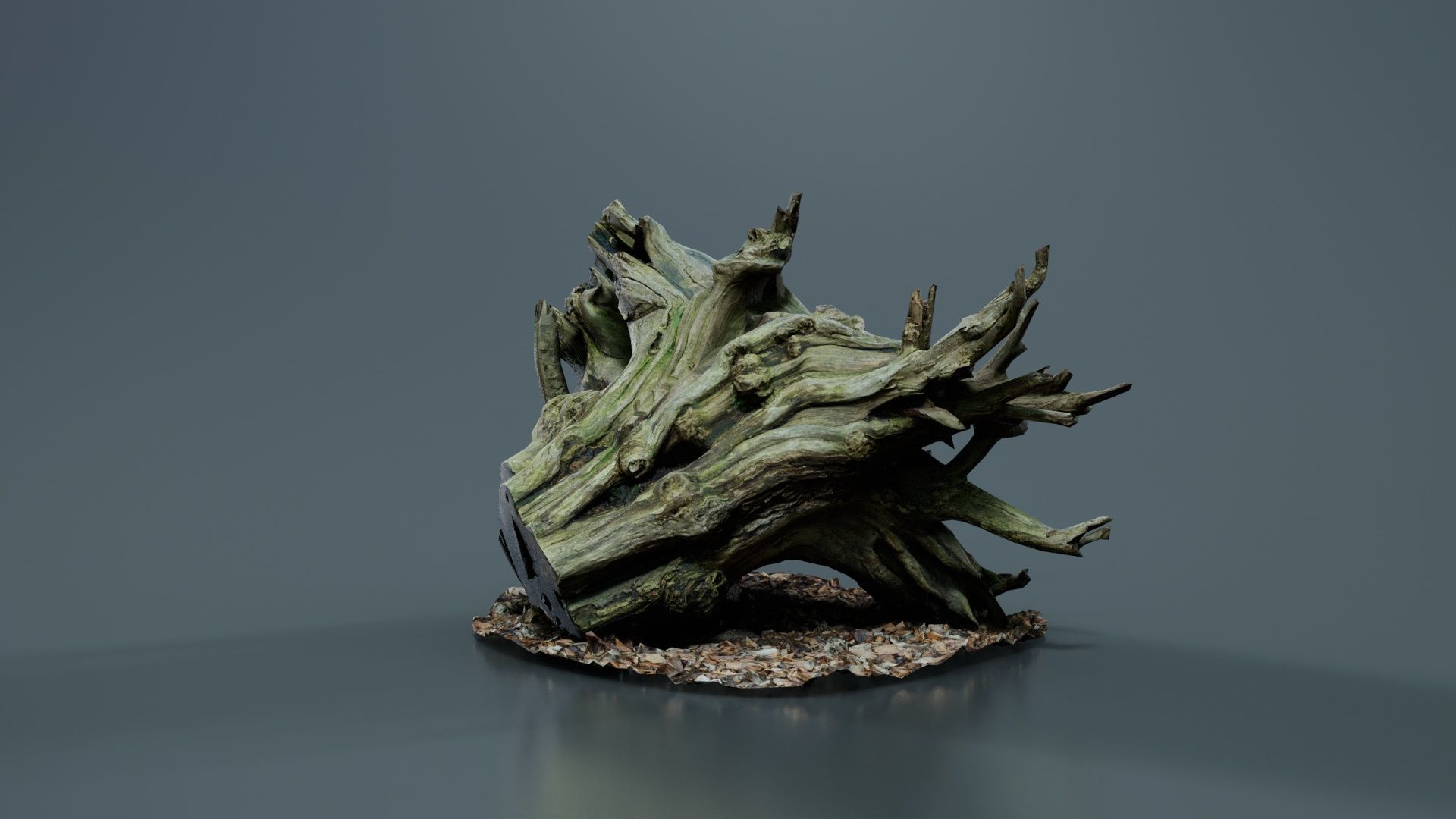 Intricate Tree Root Stump Low-poly 3D model_1