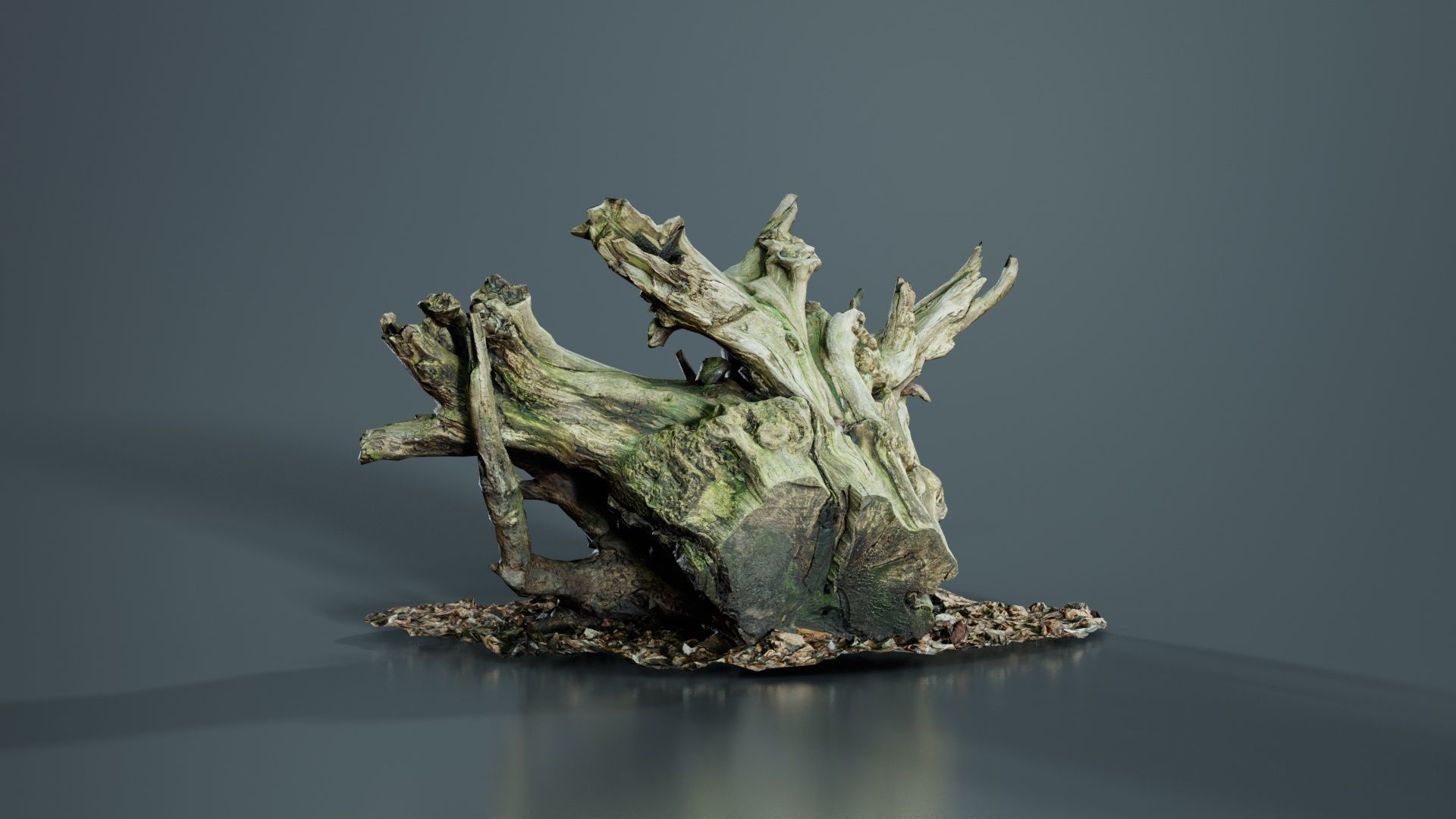 Intricate Tree Root Stump Low-poly 3D model_2