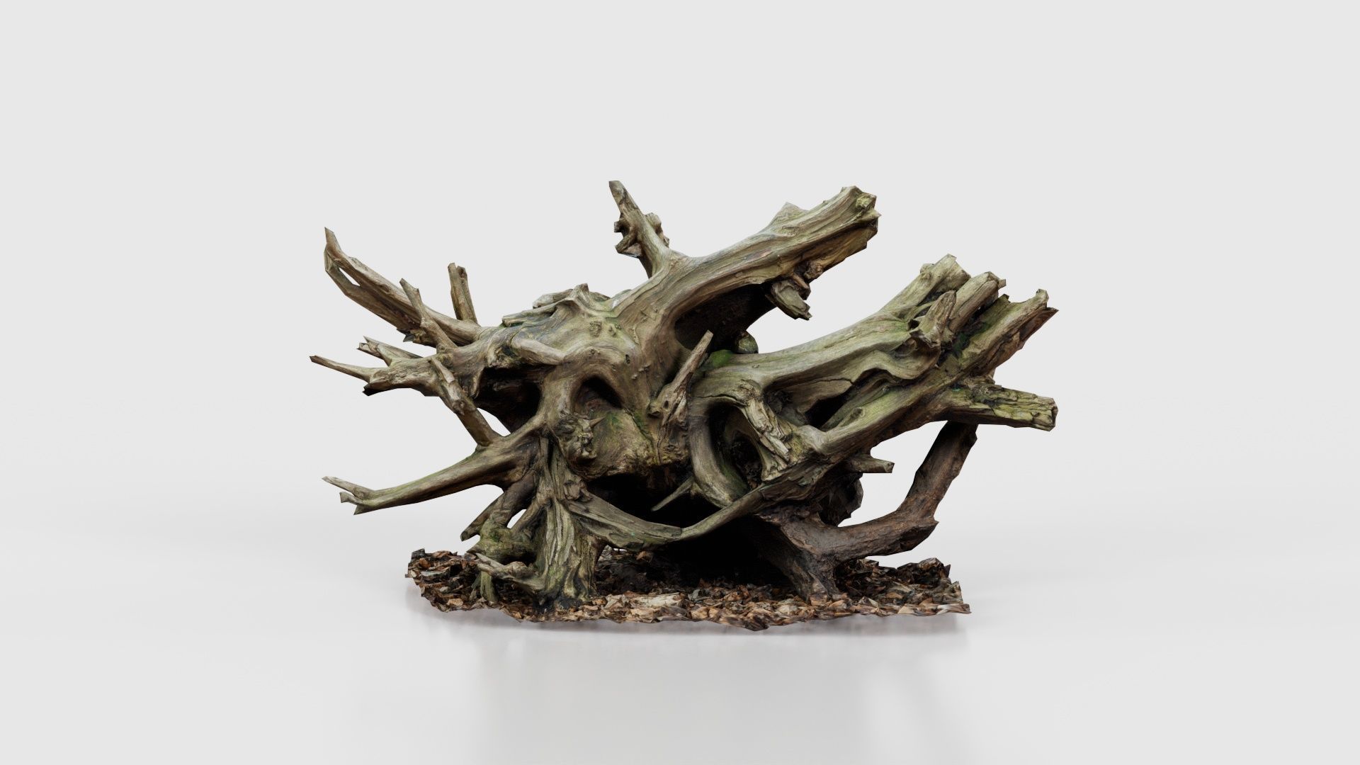 Intricate Tree Root Stump Low-poly 3D model_15