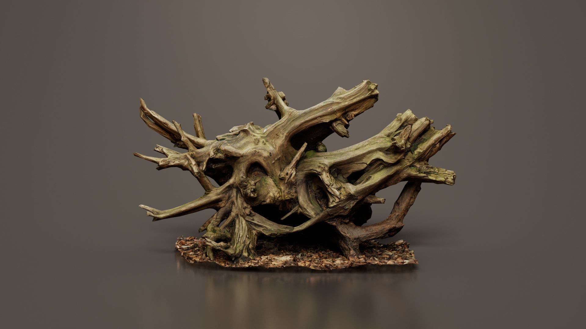 Intricate Tree Root Stump Low-poly 3D model_8