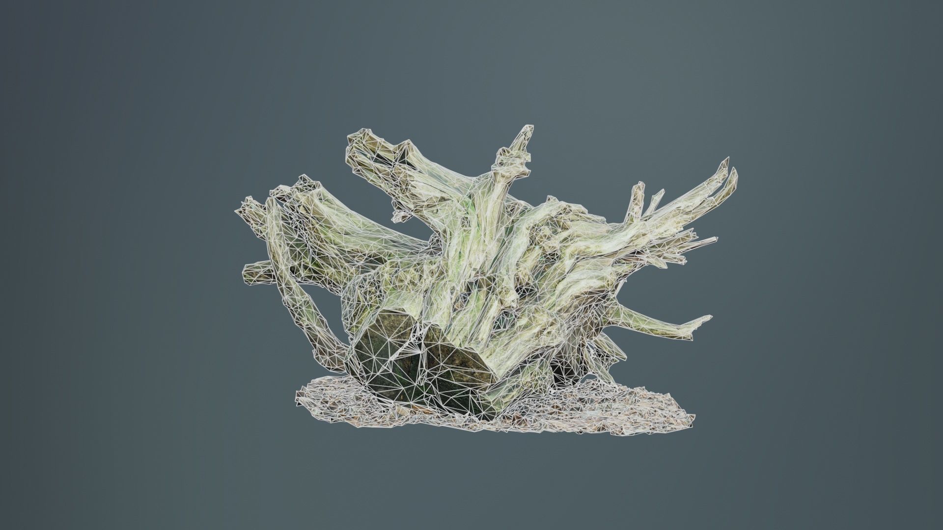 Intricate Tree Root Stump Low-poly 3D model_10