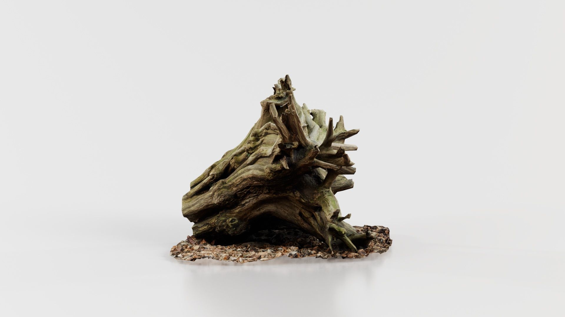 Intricate Tree Root Stump Low-poly 3D model_3