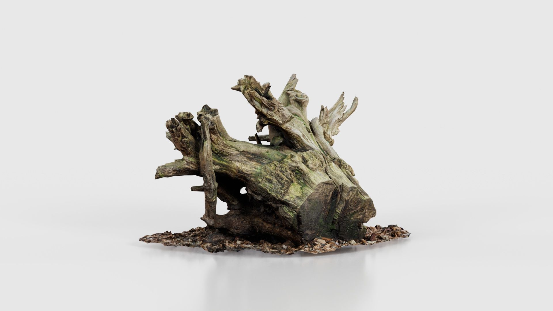 Intricate Tree Root Stump Low-poly 3D model_23